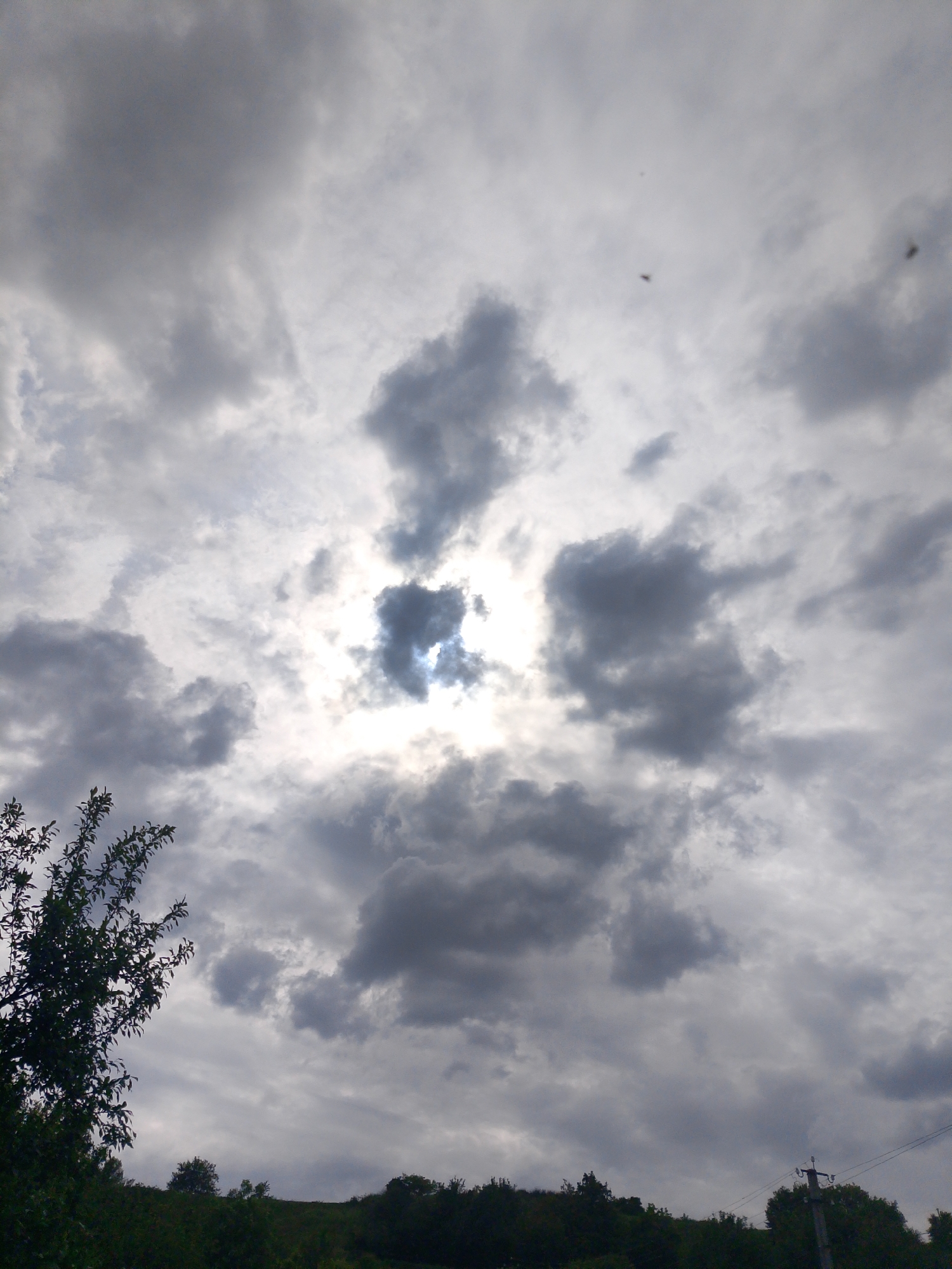 The image captures an outdoor scene dominated by a cloudy sky. Dark gray and lighter, brighter clouds fill most of the frame, with a strong, radiant white area in the central upper portion where the sun is obscured, creating a halo effect. A dark, leafy tree branch extends into the upper left quadrant of the image. Along the bottom, a line of dark green trees or bushes forms the horizon, suggesting a hilly or distant landscape. To the far right, a utility pole with wires is visible against the clouds, extending upwards from behind the foliage.
The scene depicts a largely natural setting, likely rural or semi-rural due to the presence of both natural elements and man-made infrastructure like the utility pole. No specific activity or event is taking place; it is a static landscape shot. The time of day is during daylight hours, with the weather appearing overcast or partly cloudy. The lighting is diffused, but the bright center indicates the sun's strong presence behind the clouds. A few tiny dark specks, possibly insects or distant birds, are discernible in the upper right part of the sky. There is no visible text in the image.