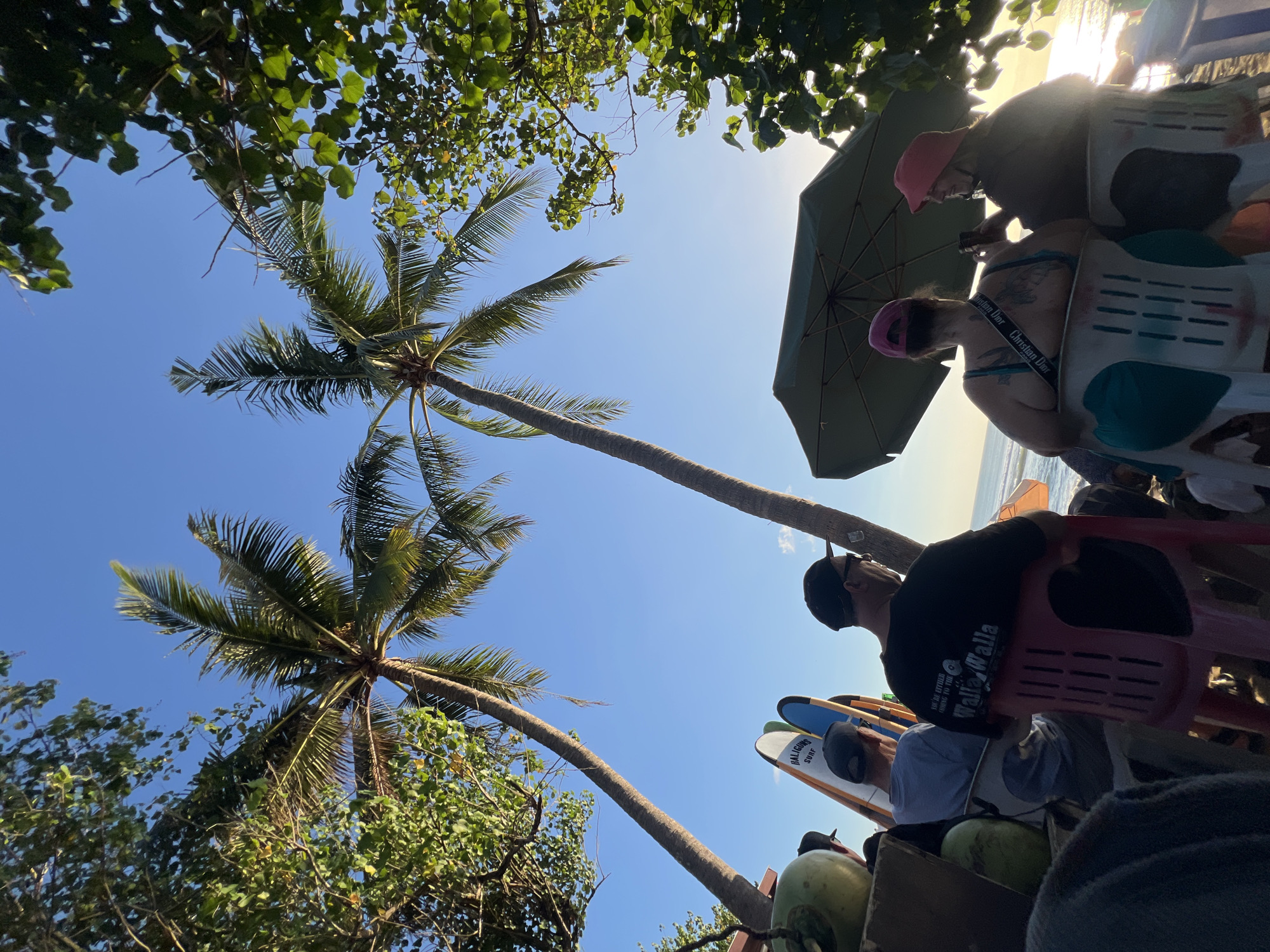 In Kuta, Indonesia, two palm trees frame a clear blue sky, with lush green foliage bordering the top corners of the image. In the foreground, several people are seated, facing away from the camera, towards the ocean, which is visible in the distance. A green umbrella provides shade for some of the individuals. Several surfboards are propped up behind the seated people, suggesting a surfing location. Coconuts are also visible, adding to the tropical atmosphere. The overall scene appears to be a casual gathering by the beach, possibly after a day of surfing.