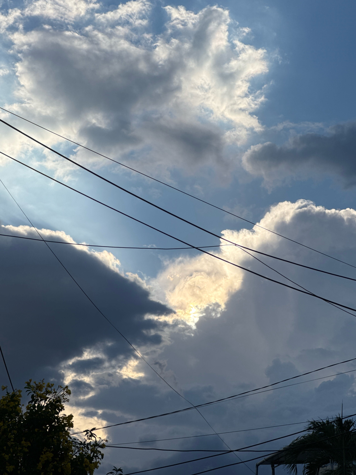 The image depicts a dramatic sky over Nha Trang, Vietnam, characterized by a mix of dark, heavy clouds and brightly illuminated patches where sunlight breaks through. Several power lines crisscross the frame, adding a man-made element to the natural scene. In the lower left corner, the silhouette of a tree with yellow blossoms is visible, providing a hint of the surrounding urban landscape. The lighting suggests either sunrise or sunset, casting a warm glow on parts of the clouds and creating strong contrasts.
