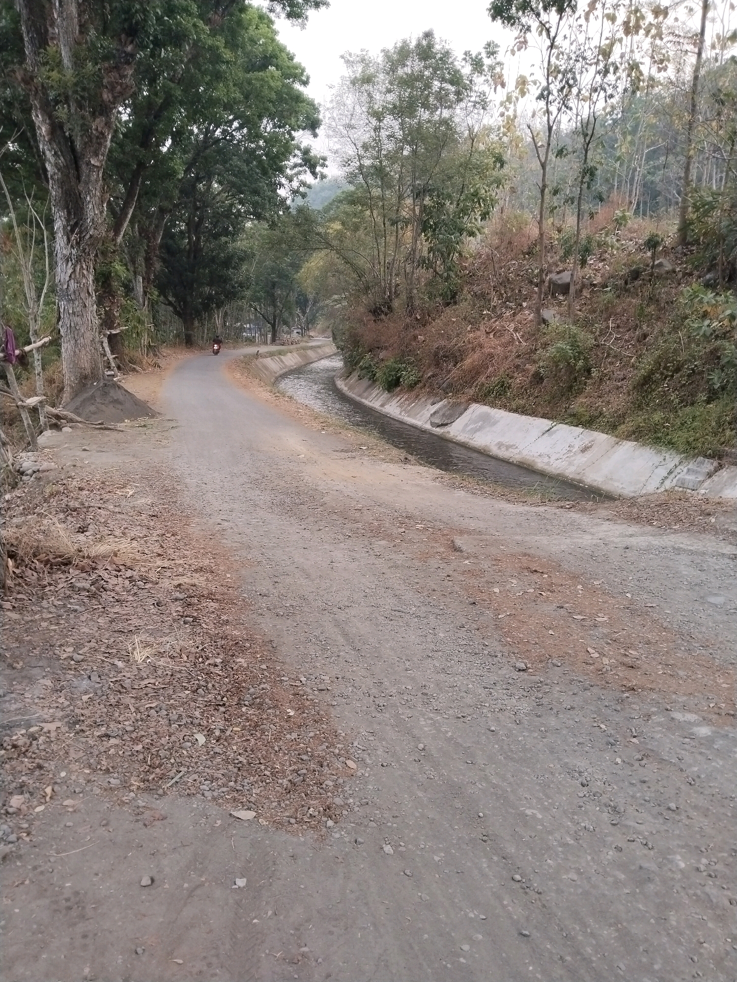 The image depicts a rural road winding through a landscape in Sangkanjaya, Indonesia. The road is unpaved, made of dirt and gravel, and curves to the left in the foreground, leading towards a distant motorcycle. To the right of the road, a concrete aqueduct runs alongside, carrying water, and is bordered by a vegetated embankment. On the left side of the road, a large tree with a textured trunk stands prominently, with some bamboo structures and piles of sand nearby. The surrounding environment is characterized by lush trees, hills, and sparse vegetation, suggesting a natural, possibly agricultural or forested area. The sky is overcast, indicating a possibly dull or hazy day.