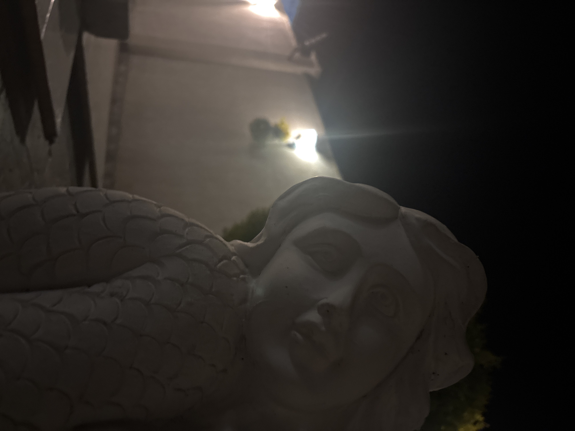 At night in Lom, Bulgaria, a low-angle close-up shot features a white statue of a sleeping female figure. Her head is turned slightly to the right. The statue's body is textured with scale-like markings. In the background, a blurry building is illuminated by an overhead light, with vegetation near the bottom right. The rest of the background is dark.