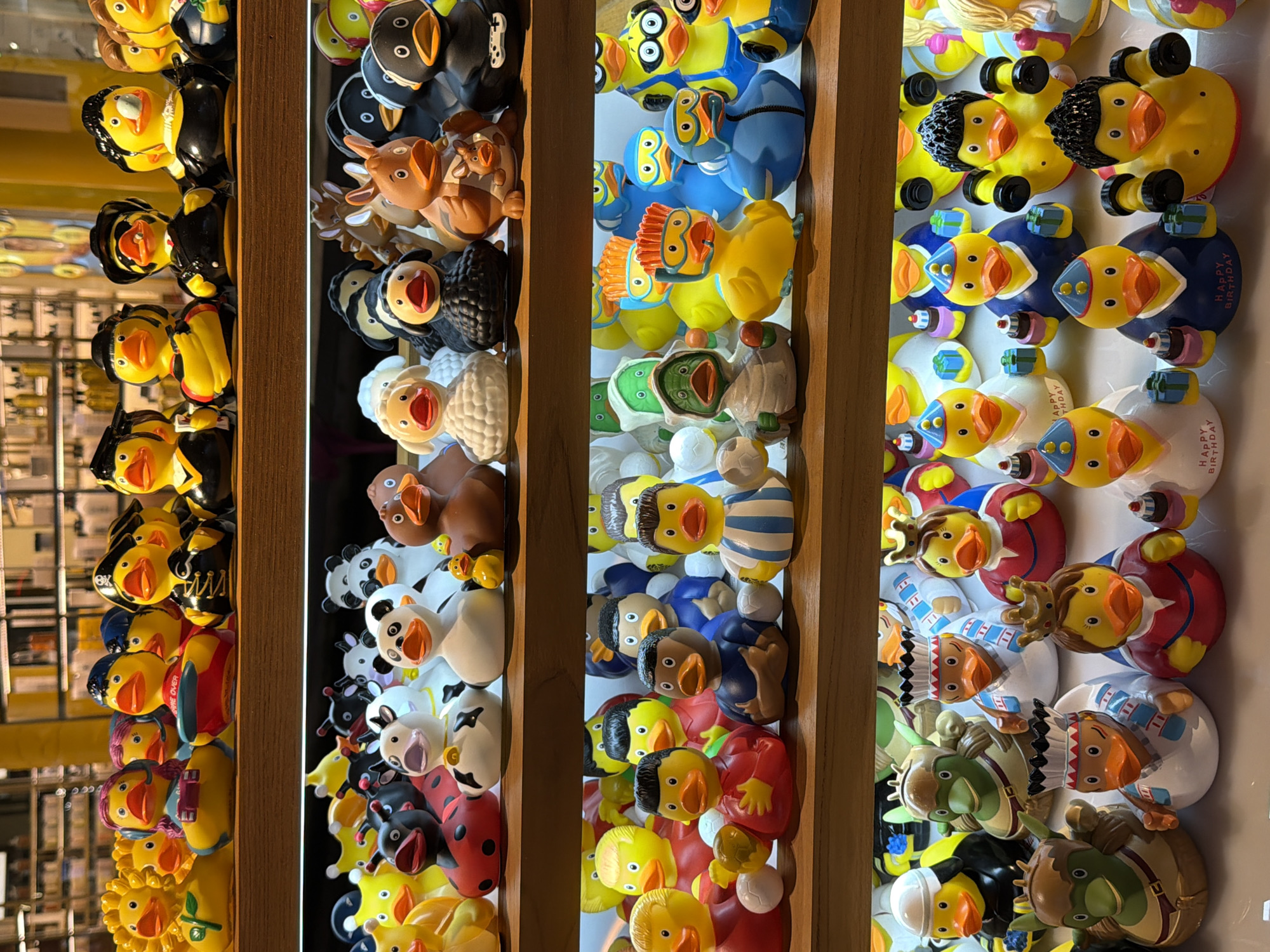 The image shows a display case filled with rubber ducks in a shop. The shop is in Kuta, Indonesia. The display case is made of wood and has four vertical sections, each containing multiple rows of rubber ducks. The ducks are of various colors and designs. Some are dressed as people, others as animals, and some as inanimate objects. The lighting is bright.