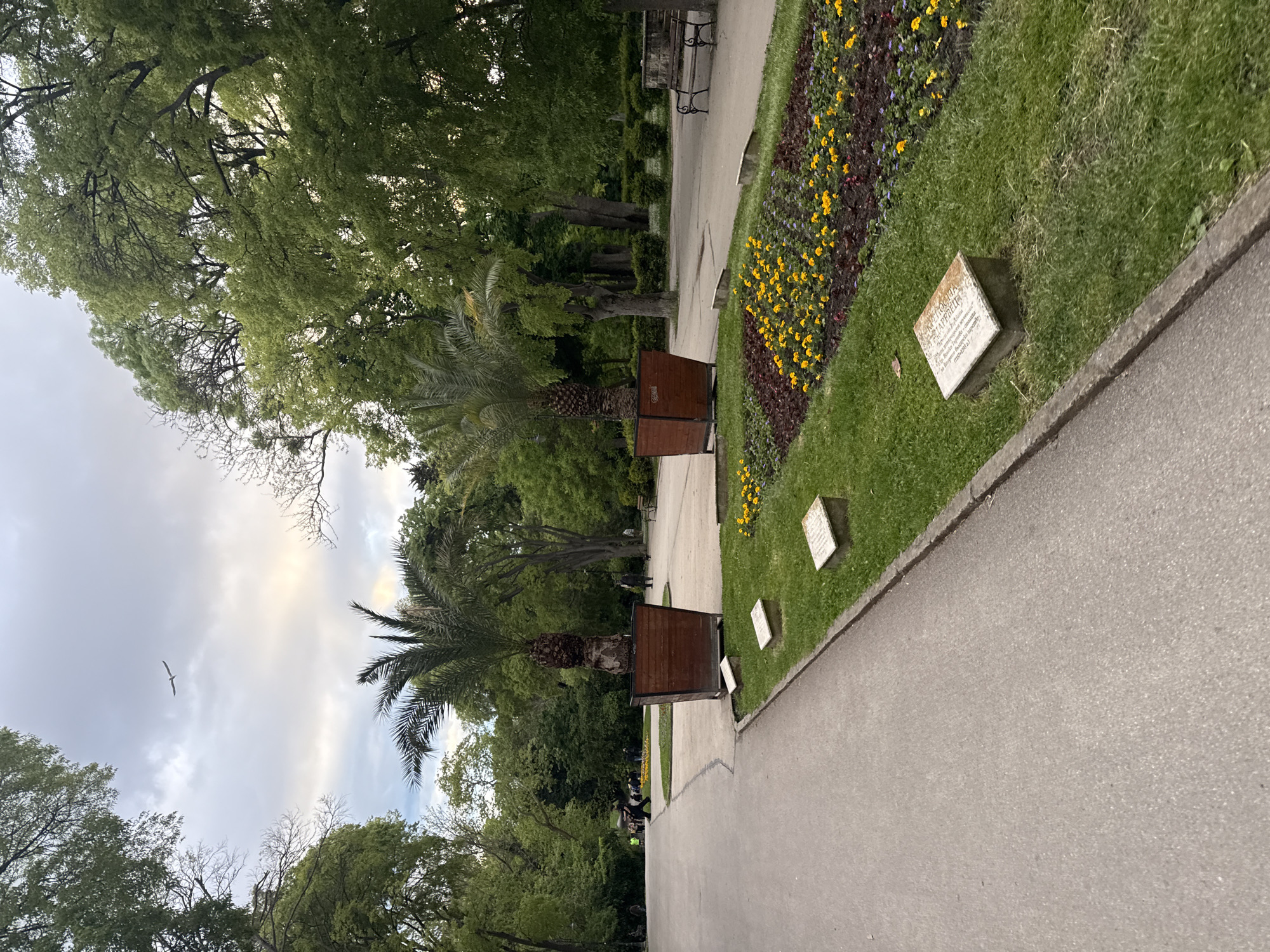 The image shows a park pathway in Varna, Bulgaria. The path is made of gray concrete and has a landscaped edge on one side featuring a grass border with flower beds and small, rectangular stone markers. Benches are placed along the path. Palm trees and deciduous trees are visible, providing shade and creating a park-like atmosphere. Above, the sky is partially cloudy with a bird in flight.