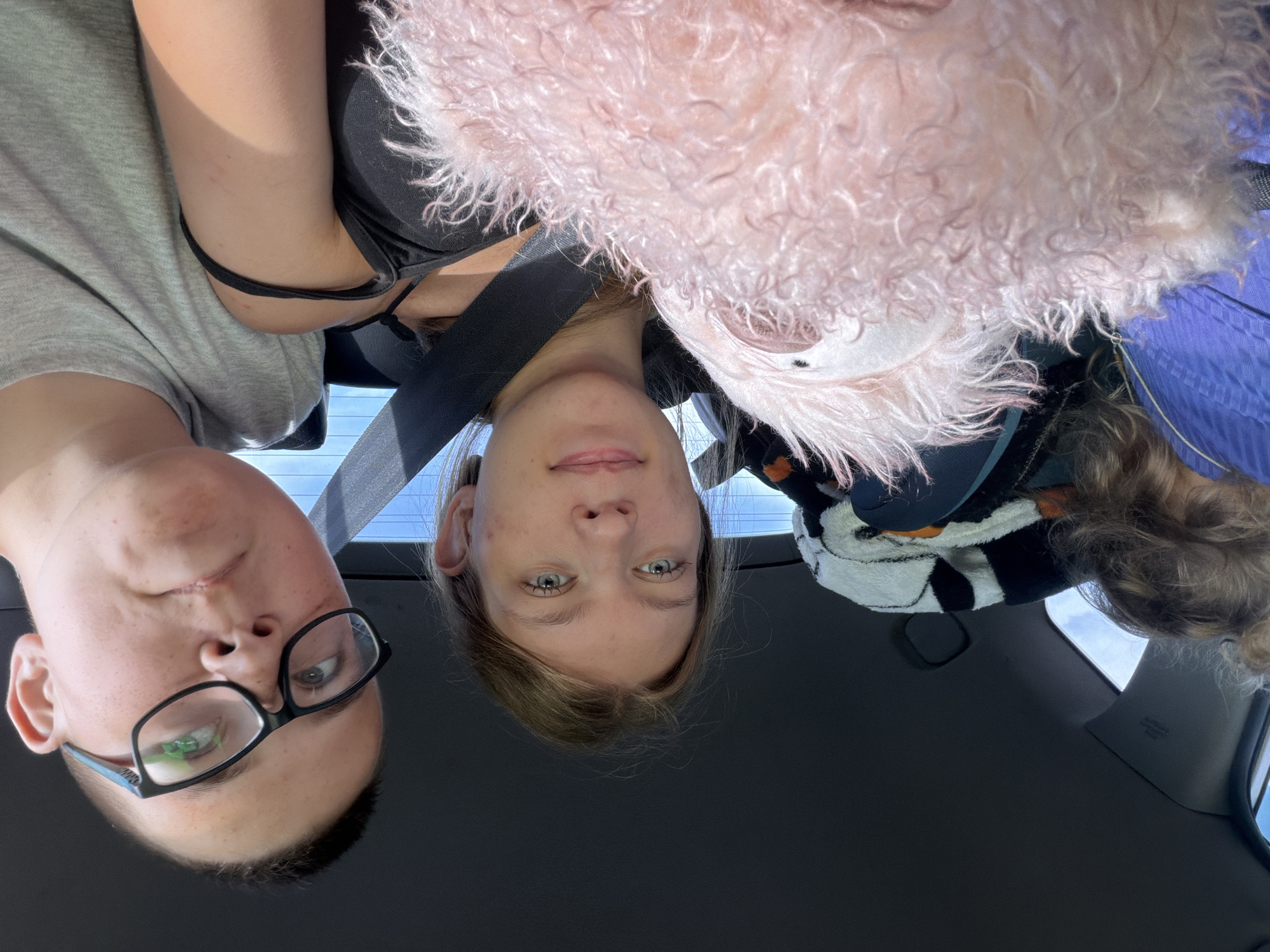 The image shows a selfie taken inside a car, with two young people visible. On the right, a person wearing glasses and a grey t-shirt looks up and to the left. On the left, a person with blonde hair and blue eyes, wearing a black top, is seen from the shoulders up. Between them, a fluffy pink stuffed animal is prominently displayed in the foreground, partially obscuring the people. The interior of the car is visible, including the roof lining, a seatbelt, and a glimpse of a blanket with black and white stripes behind the blonde-haired person. The background outside the car windows shows a bright sky. The image appears to be taken during the daytime. There is no visual information in the image to place it specifically in the city of Новое Маврино, Russia.