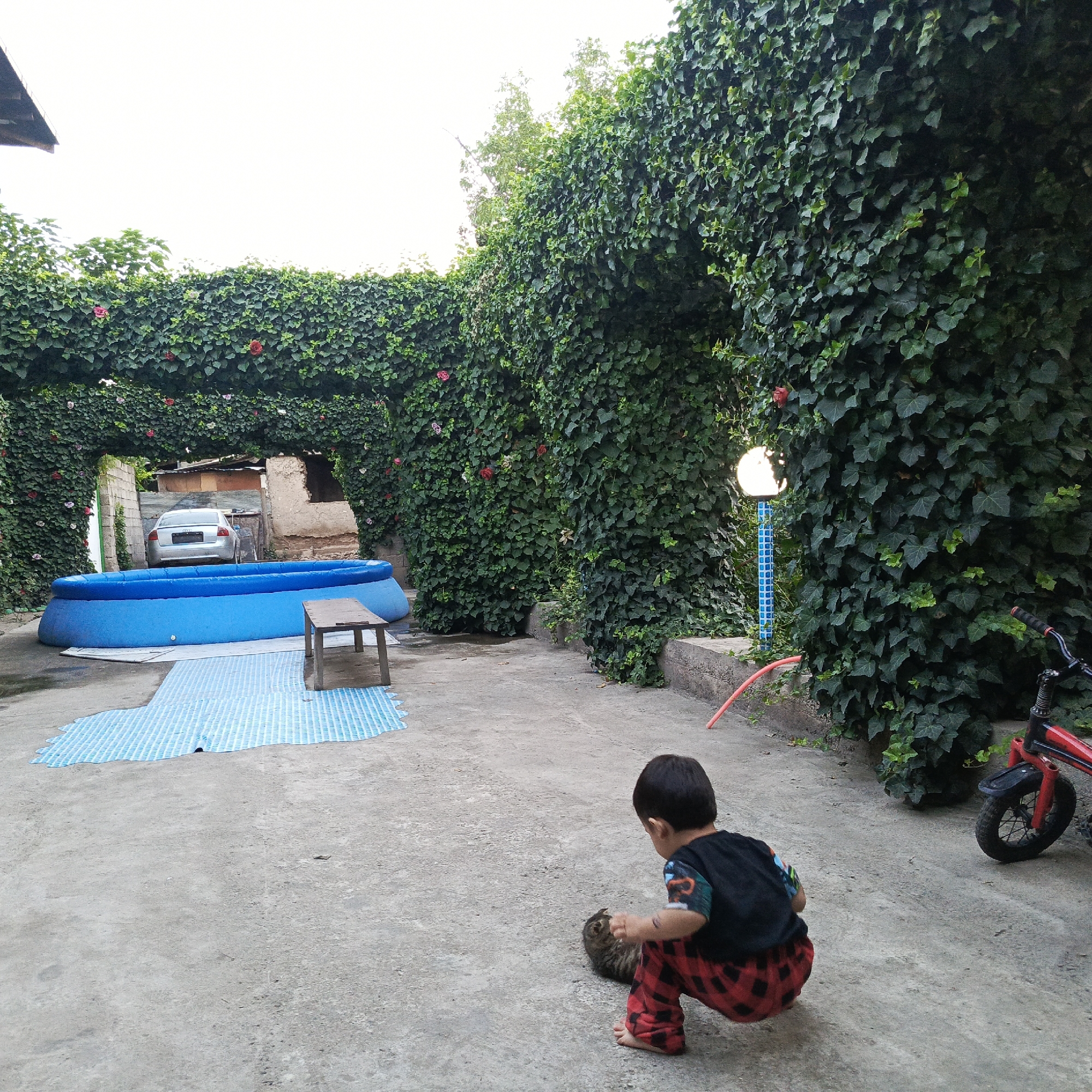 Memory