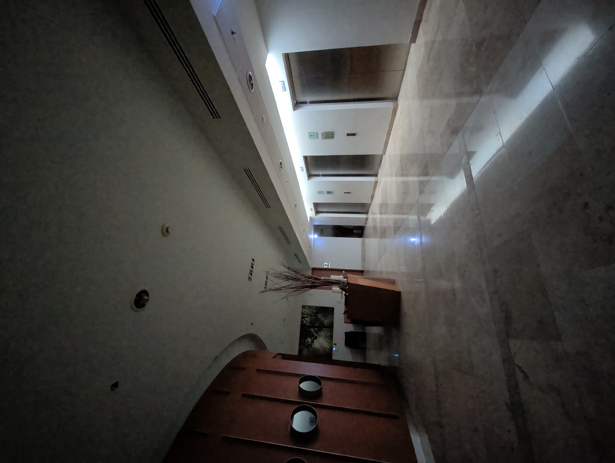 The image depicts a hallway in what appears to be an office or hotel in Mexico City, Mexico. The architecture features a blend of modern and decorative elements.
The hallway has a polished marble floor and beige walls. The ceiling is white with recessed lighting and linear vents. The hallway leads to a row of elevators at the end.
In the foreground, there is a wooden decorative wall with circular cutouts. A large vase with tall branches sits on a wooden cabinet, adding a decorative touch to the space. There is a picture on the wall behind it.