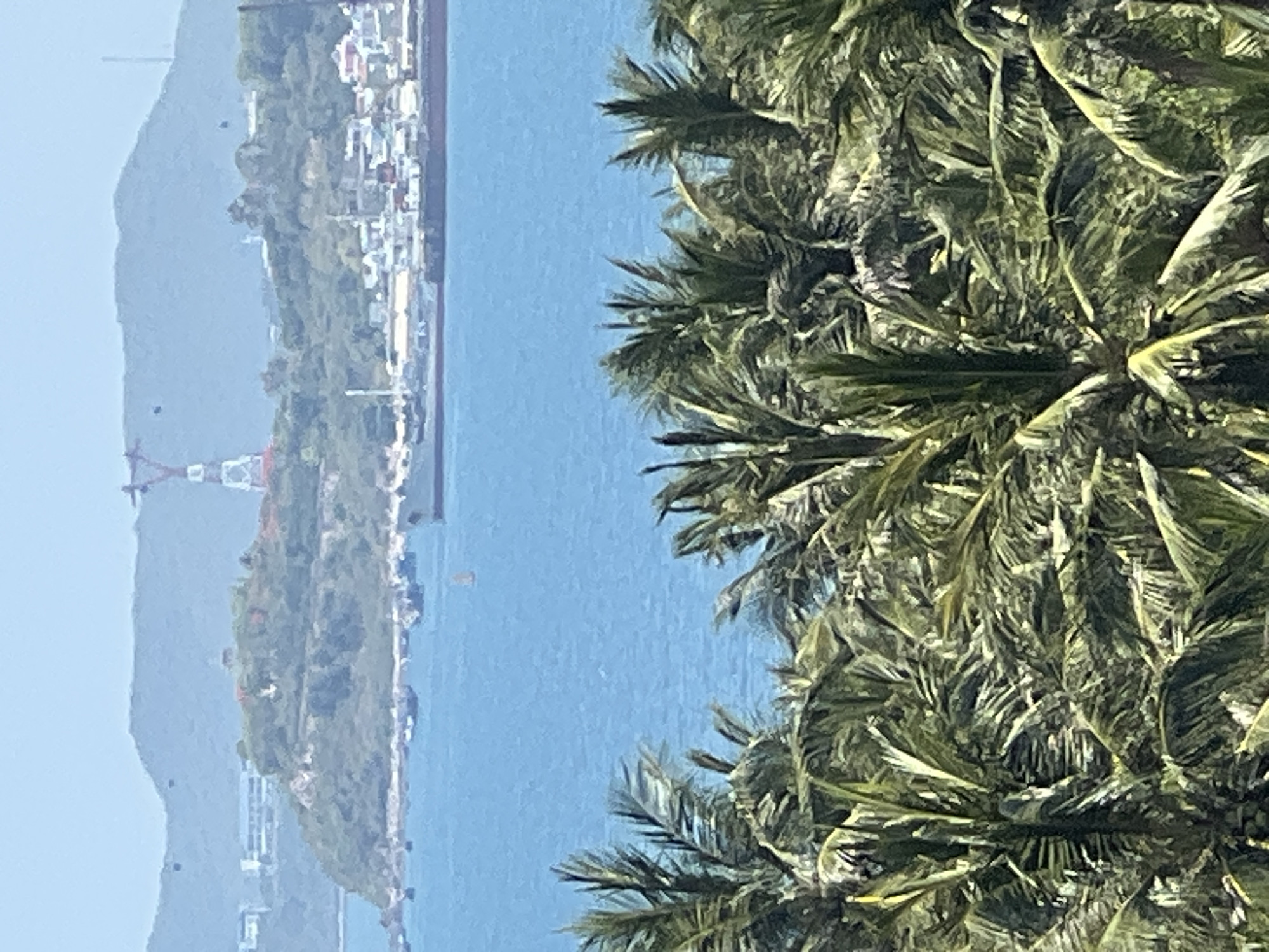 This image, taken from a high vantage point overlooking Nha Trang, Vietnam, captures a panoramic view of the city's coastline and surrounding landscape. The foreground is dominated by the lush, green foliage of palm trees, their fronds creating a textured canopy. Beyond the trees, the vibrant blue waters of the sea stretch towards the horizon. In the middle ground, a small island with buildings and vegetation is visible, a red and white tower rising prominently on its peak. Further out, the city of Nha Trang unfolds with its characteristic white buildings clustered along the shore, bordered by hills in the background. Several boats are scattered across the water, and a large cargo ship is docked near the city. The sky is clear and bright, suggesting a sunny day.