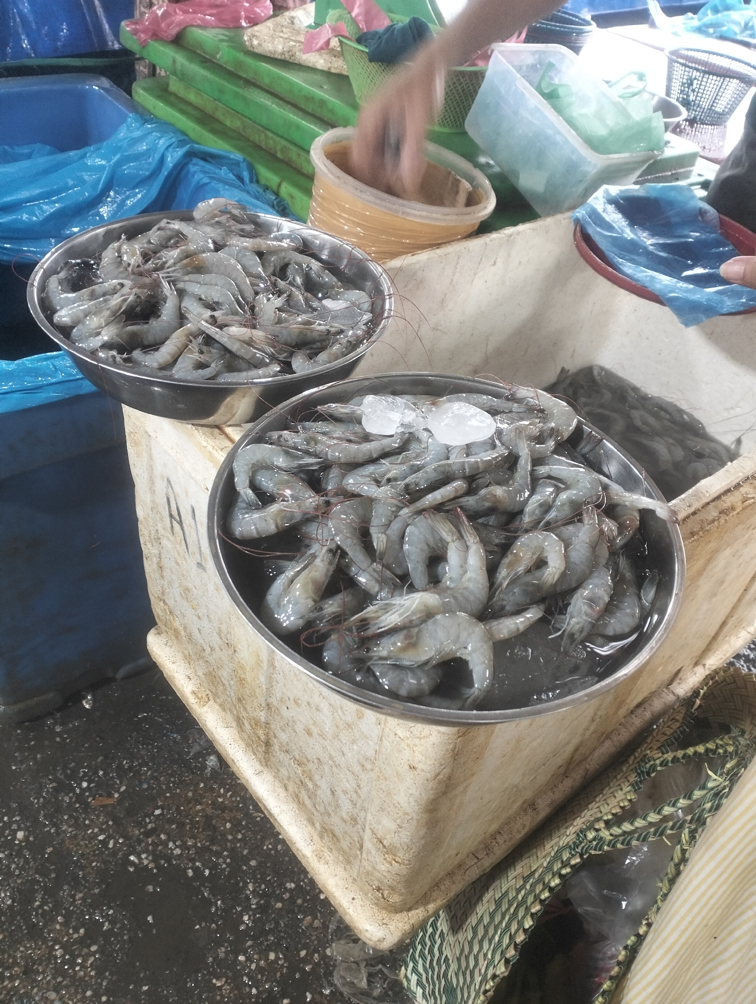 The image depicts a bustling fish market scene, likely in Dumai City, Indonesia. Two large stainless steel bowls overflowing with fresh shrimp are prominently displayed in the foreground. The shrimp are a pale gray-blue color, suggesting they are recently caught. Some pieces of ice are visible in the bowl on the right, indicating efforts to keep the seafood fresh.
The shrimp are arranged loosely, with their heads and tails curved. The bowls are placed on the edge of a large, rough, off-white plastic container, which appears to be part of the market stall. The container has some dirt and water stains, characteristic of a working market environment.
Behind the shrimp bowls, various market elements are visible. To the left, a large blue plastic tub is partially visible, possibly used for storing other seafood or ice. Further back, green plastic crates are stacked, and other market containers, some made of translucent plastic, are present. A hand, partially blurred, is seen reaching into a yellow container in the background, suggesting a transaction or preparation is taking place. A person's arm and torso are visible on the right side of the image, also in motion, further emphasizing the active nature of the market.
The ground in the foreground is wet and speckled with small debris, indicating a damp and potentially messy market floor. A woven basket with a patterned handle is visible at the bottom right, adding to the overall market atmosphere. The lighting appears to be natural, possibly from overhead, and the overall impression is one of a lively and functional seafood trading hub.