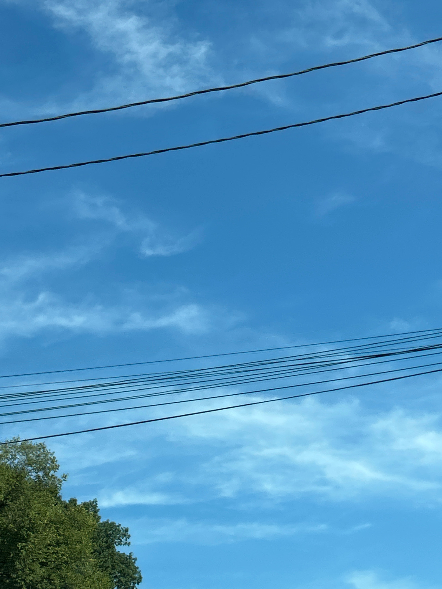 The image shows a bright blue sky with wispy white clouds, crisscrossed by several dark power lines. In the lower left corner, a portion of a lush green tree is visible. The image appears to be taken outdoors on a clear day. There is no discernible location within Pittsburgh, United States of America.
