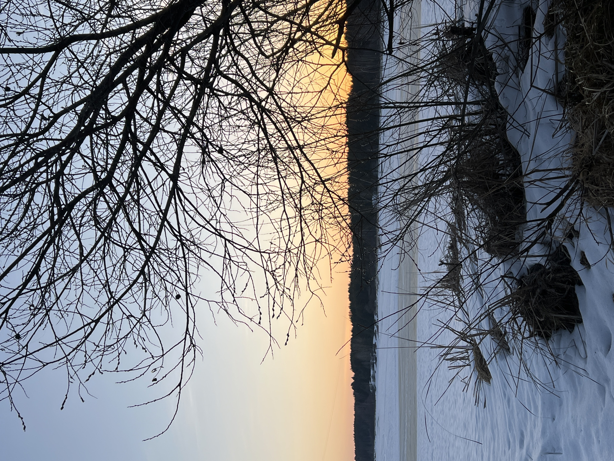 The photograph, likely taken in or near Chaykovsky, Russia, depicts a winter scene at either dawn or dusk. The sky transitions from light blue at the bottom to a golden hue near the horizon, suggesting sunrise or sunset. A dark, vertical line of trees separates the sky from a snow-covered, presumably frozen body of water. The foreground features bare tree branches on the left and snow-covered vegetation on the right. Possible ice fishing tracks are visible on the snow in the center of the photograph. No people or animals are directly visible.