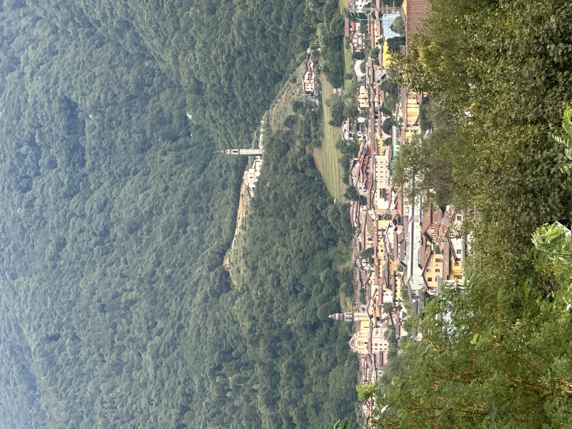 This is a medium shot, outdoor, vertical photograph taken from a high vantage point looking down on the town of Darfo Boario Terme, Italy. The foreground is dominated by lush green foliage, partially obscuring the view of the town below. The town itself is characterized by a dense collection of buildings with terracotta roofs, featuring a mix of residential and commercial structures. Prominently visible is a large church with a distinct bell tower, situated on a hillside overlooking the town. Another, smaller church structure with a bell tower is visible further up the hillside. The town is nestled at the base of a heavily forested mountain, with the trees extending up the slopes. The sky is overcast, creating a diffused light over the scene. There are no people or vehicles visible in the image.