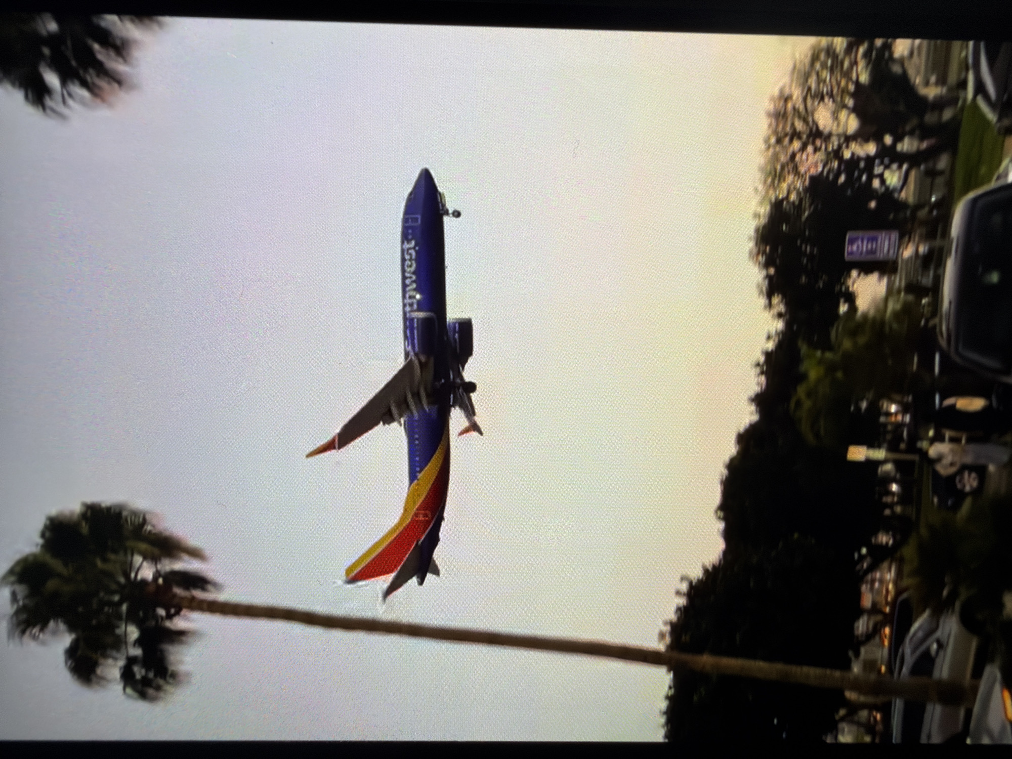 The image displays a large passenger airplane, specifically a Southwest Airlines aircraft, in mid-flight against a bright, clear sky. The airplane, a Boeing 737, is predominantly blue with the airline's distinctive red, orange, and yellow heart logo and "Southwest" text visible on its tail and fuselage. It appears to be at a relatively low altitude, suggesting it is either taking off or approaching an airport.
In the foreground and background, several elements frame the scene. On the left side of the frame, a tall palm tree with a dark, blurred frond canopy is visible. On the right side, a dense line of darker trees forms a treeline, beyond which faint shapes of vehicles and what appears to be a street or road can be discerned. A blurry street sign or billboard is also present among these distant elements.
The sky exhibits a gradient, with lighter tones dominating the area around the airplane and a warmer, golden hue towards the right side, indicative of either early morning (sunrise) or late afternoon (sunset). No clouds are visible, suggesting clear weather conditions. The presence of palm trees and a major U.S. airline like Southwest suggests a location within the United States or a nearby tropical region. No people are clearly identifiable in the image.