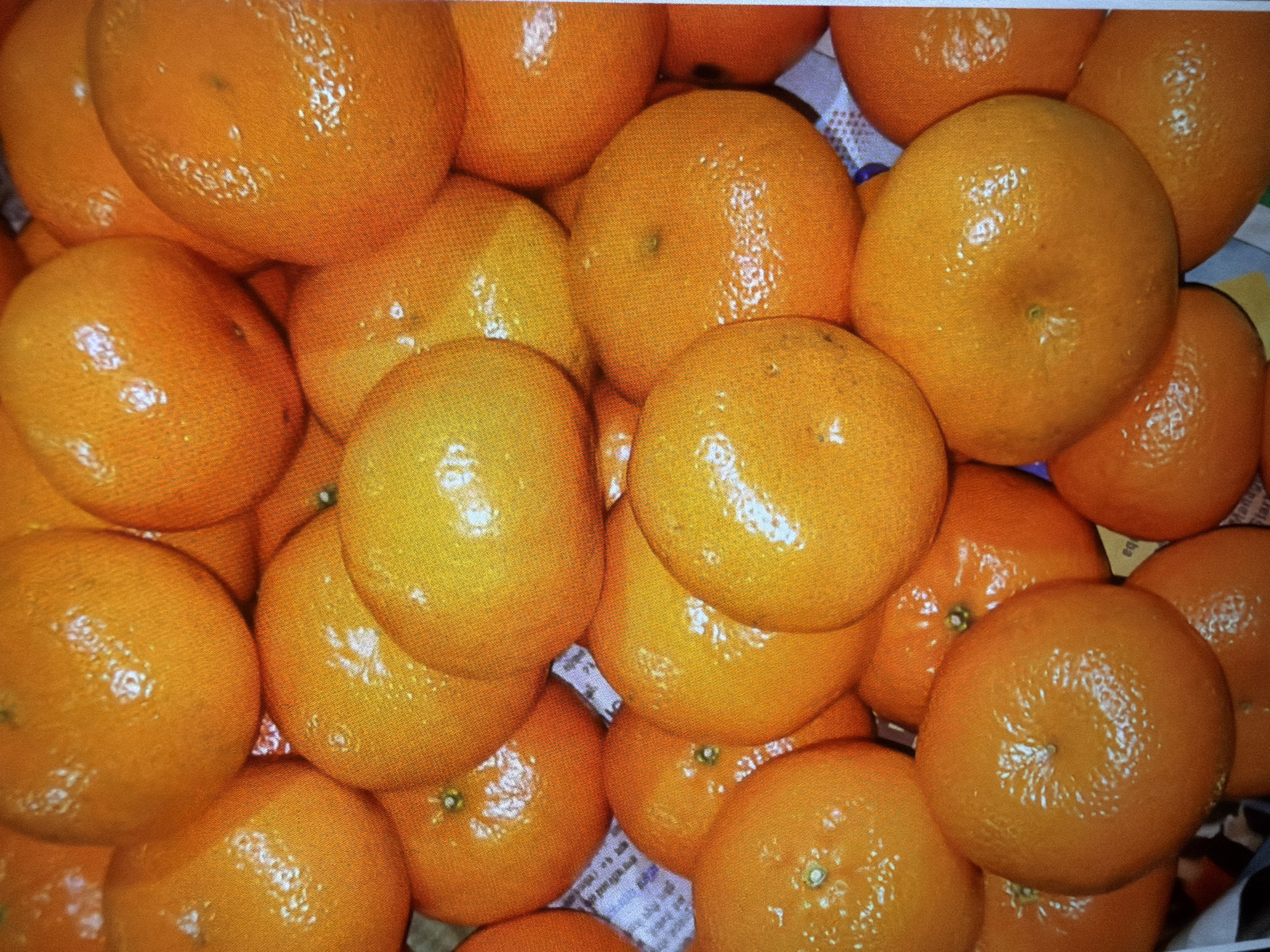 A close-up, overhead shot displays a large pile of vibrant oranges. The oranges are closely packed together, filling the frame and obscuring much of the background. Some oranges are perfectly spherical, while others appear slightly flattened due to the pressure of the pile. Their skin is a bright, glossy orange, reflecting the light in small, shimmering patches. There are no visible people, animals, or distinct environmental features beyond the oranges themselves. The lighting is bright and even, suggesting an artificial light source.