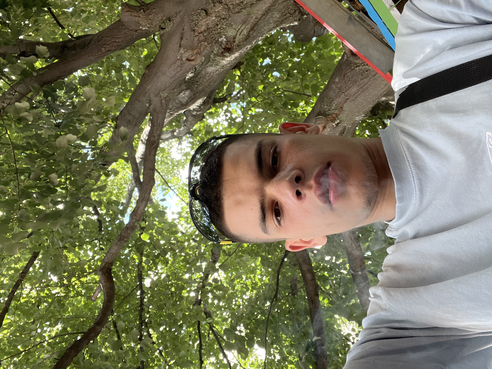 A young man with short, dark hair and a light complexion is pictured from a low angle, looking upwards towards the camera. He is wearing a light blue t-shirt and has dark sunglasses perched on his head. A subtle plume of smoke is visible around his mouth, suggesting he is smoking. The background is dominated by the lush green foliage of a large tree, with sunlight filtering through the leaves. The trunk of the tree, with its textured bark, is visible on the right side of the frame. There are hints of colorful structures, possibly part of a seating area or decorative elements, in the lower right corner. The overall scene appears to be outdoors, in a natural setting. The image does not contain any discernible elements that would indicate its location in Sopot, Bulgaria.