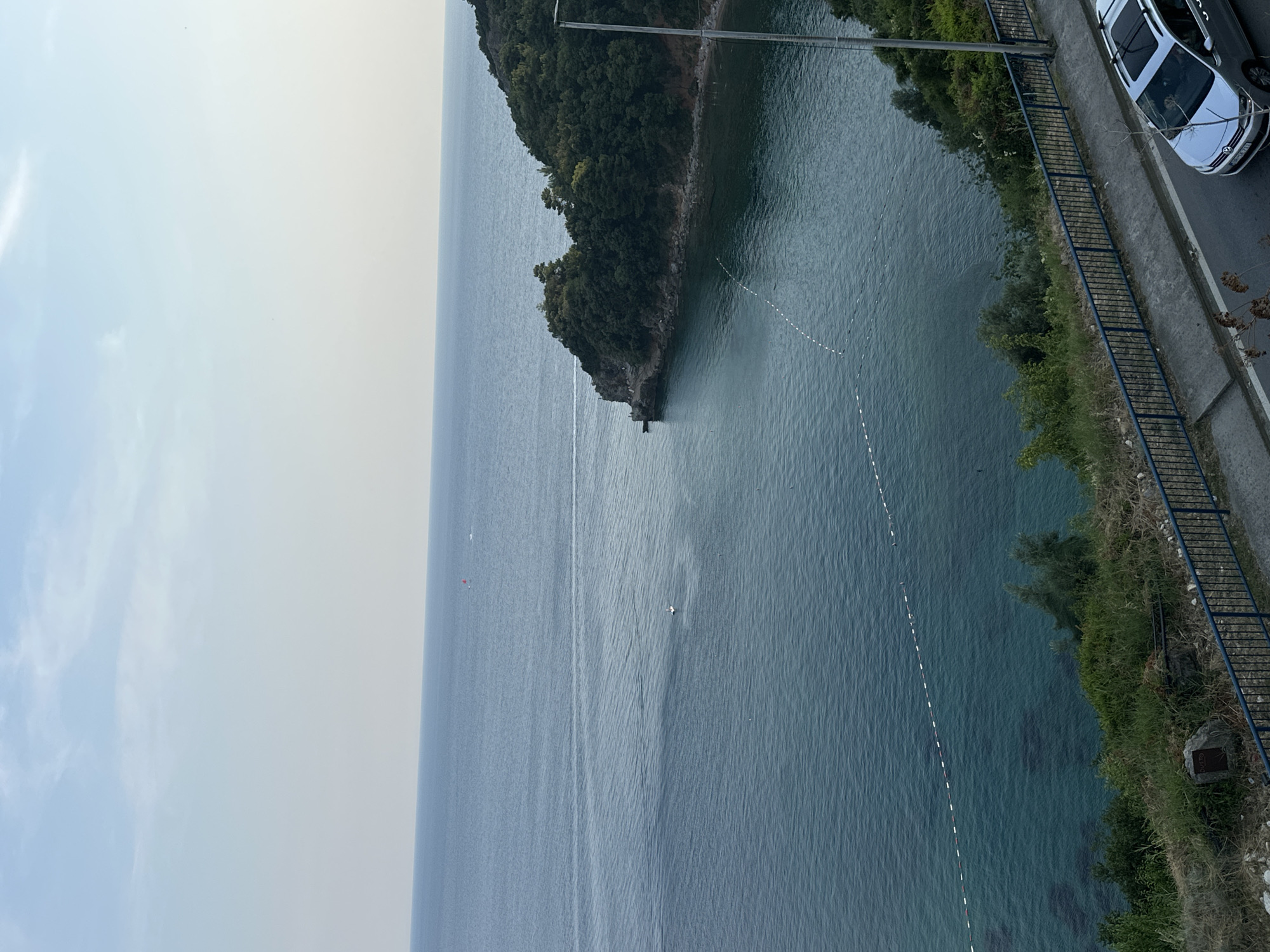 This is an overhead shot of a rocky coastline with clear blue water. The image is oriented vertically, with the sky taking up the left third of the frame and the sea the remaining two-thirds. The sky is pale blue with some wispy white clouds.
The water is a deep blue-green and appears calm, with small ripples on the surface. A line of buoys, marked with white and red dots, stretches across the water, indicating a swimming area. In the distance, a small, tree-covered island juts out into the sea.
Along the right side of the frame, a road runs parallel to the coast. A white car is parked on the side of the road, and there is a metal railing with blue posts bordering the sea. Lush green vegetation grows along the edge of the road and down the embankment towards the water.
There are no people visible in the image. The time of day appears to be late afternoon or early evening, given the soft, diffused light. The location is Budva, Montenegro. No text is visible in the image.