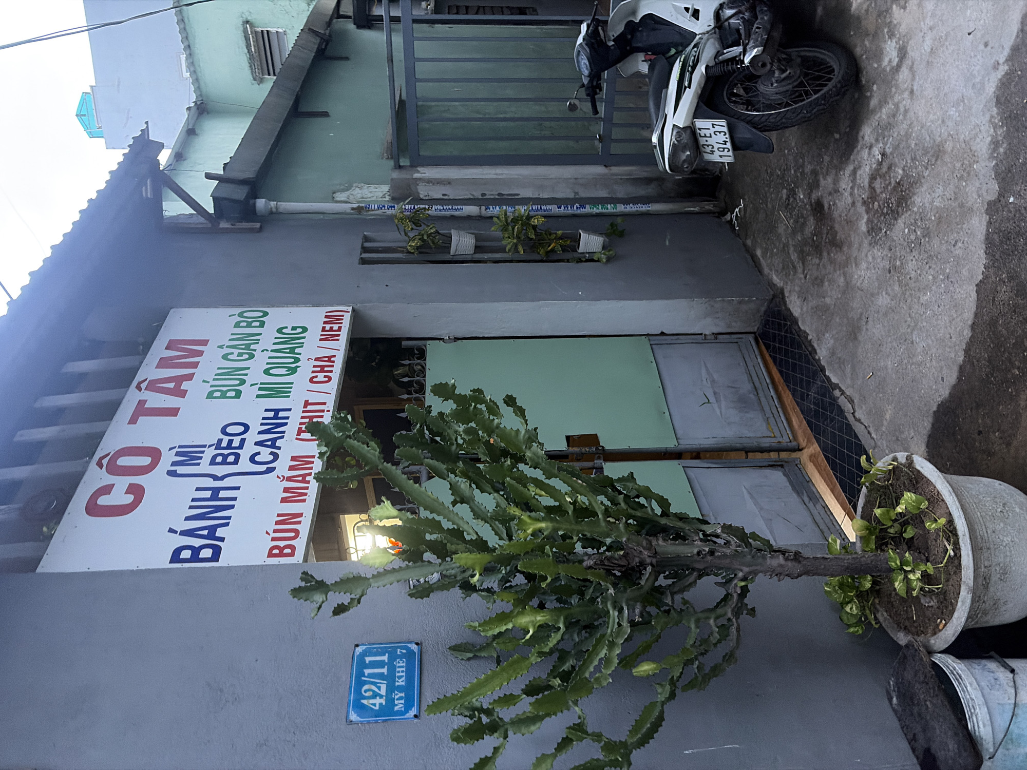 The image shows a narrow street scene in Da Nang, Vietnam. On the left, a grey building has a sign that reads "CÔ TÂM" in red, followed by a list of food items in blue and red text, including "BÁNH MÌ", "BÚN GÀN BÒ", "CANH MÌ QUẢNG", and "BÚN MẮM (THỊT / CHẢ / NEM)". Below the sign, a blue address plate reads "42/11 MỸ KHÊ 7". A large, thorny cactus in a pot stands in front of the building, with a light blue bucket next to it.
To the right of the grey building, a green building is visible, with a grey metal gate. A white and black motorcycle is parked in front of the gate, with a license plate that reads "43-E1 194.37". The ground is a mix of concrete and wet patches. Several potted plants are visible on the wall of the grey building. The overall impression is a residential or small business area in a city.