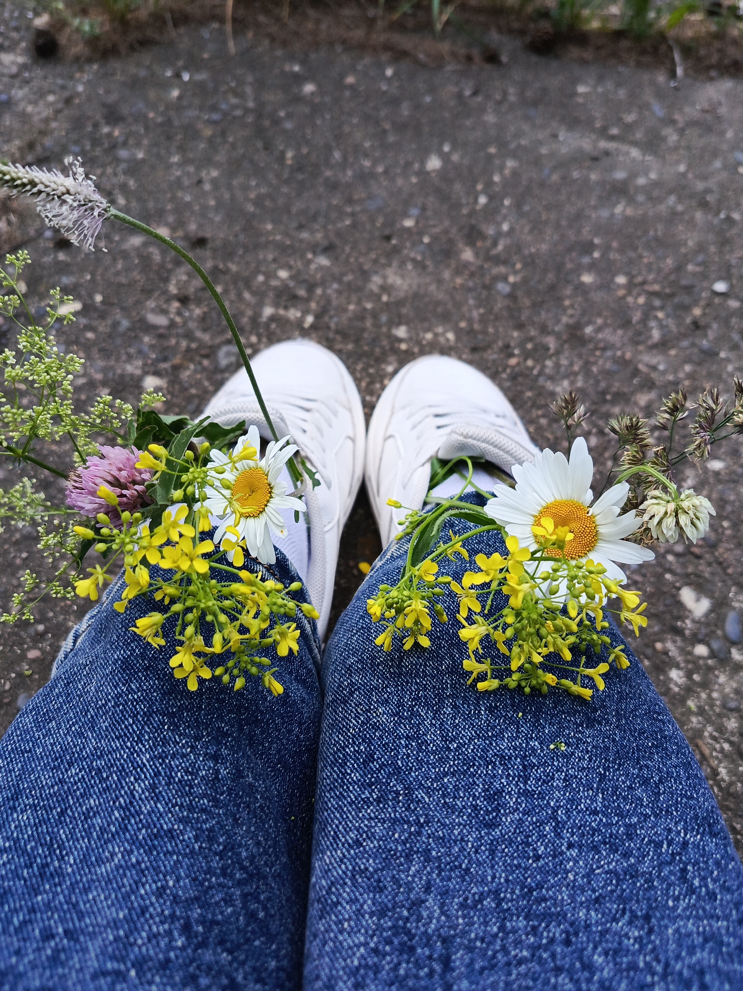 A pair of white sneakers with blue jeans are placed on a gray asphalt surface, possibly a path or road. Small wildflowers, including daisies, clover, and yellow blossoms, are tucked into the laces and ankles of the shoes, as well as resting on the jeans. The background shows out-of-focus greenery and more asphalt. The scene appears to be outdoors, in a natural or semi-natural urban setting. The image is taken from a top-down perspective, focusing on the feet and lower legs of an unseen individual.