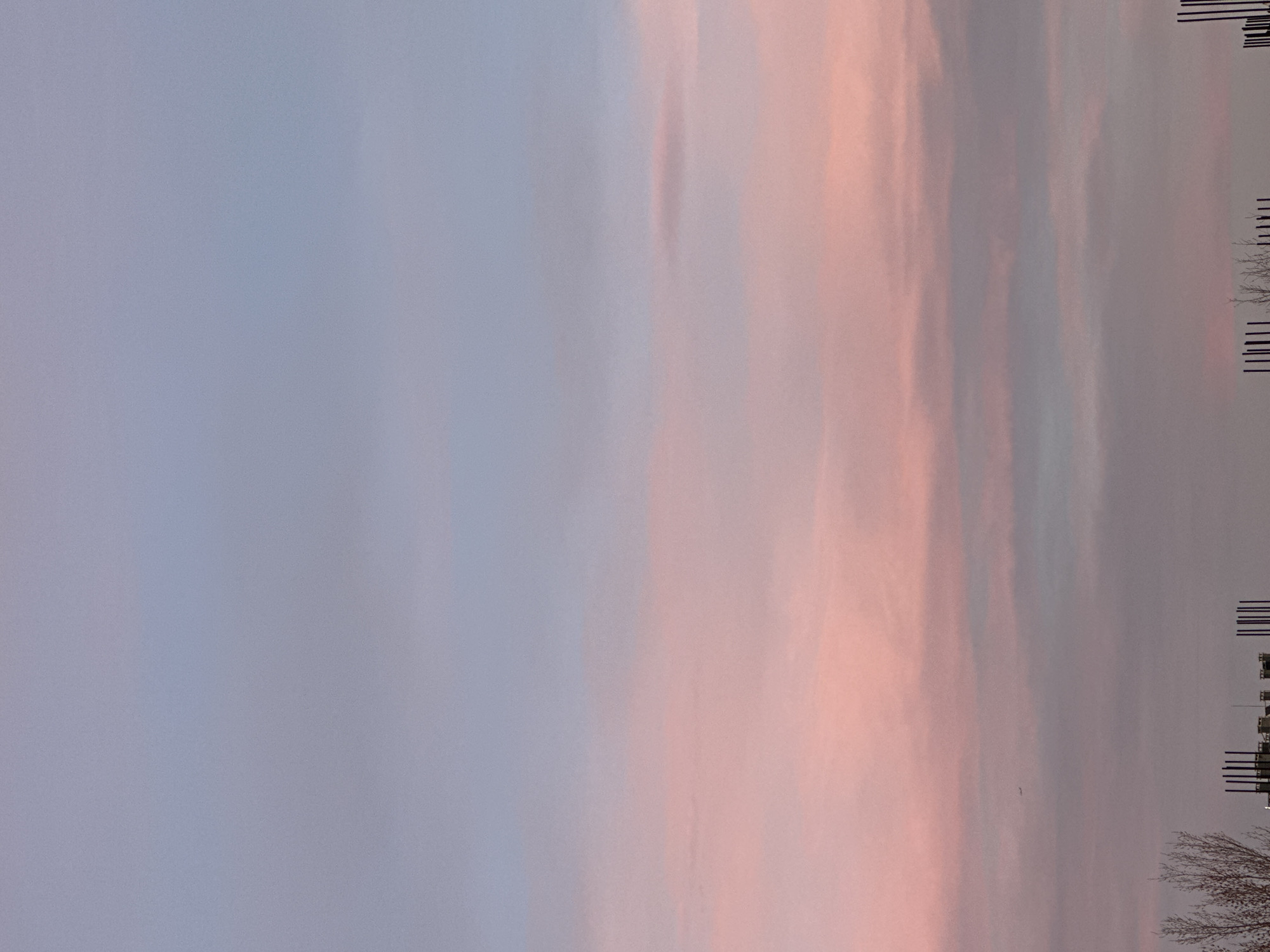 The image shows a sunset sky with pink and blue hues. In the bottom right corner are the outlines of trees and buildings or structures, possibly antennas or communication towers. The location might be in Sofia, Bulgaria, given the prompt, though there are no explicit visual indicators confirming this location in the image. The photo is oriented vertically.