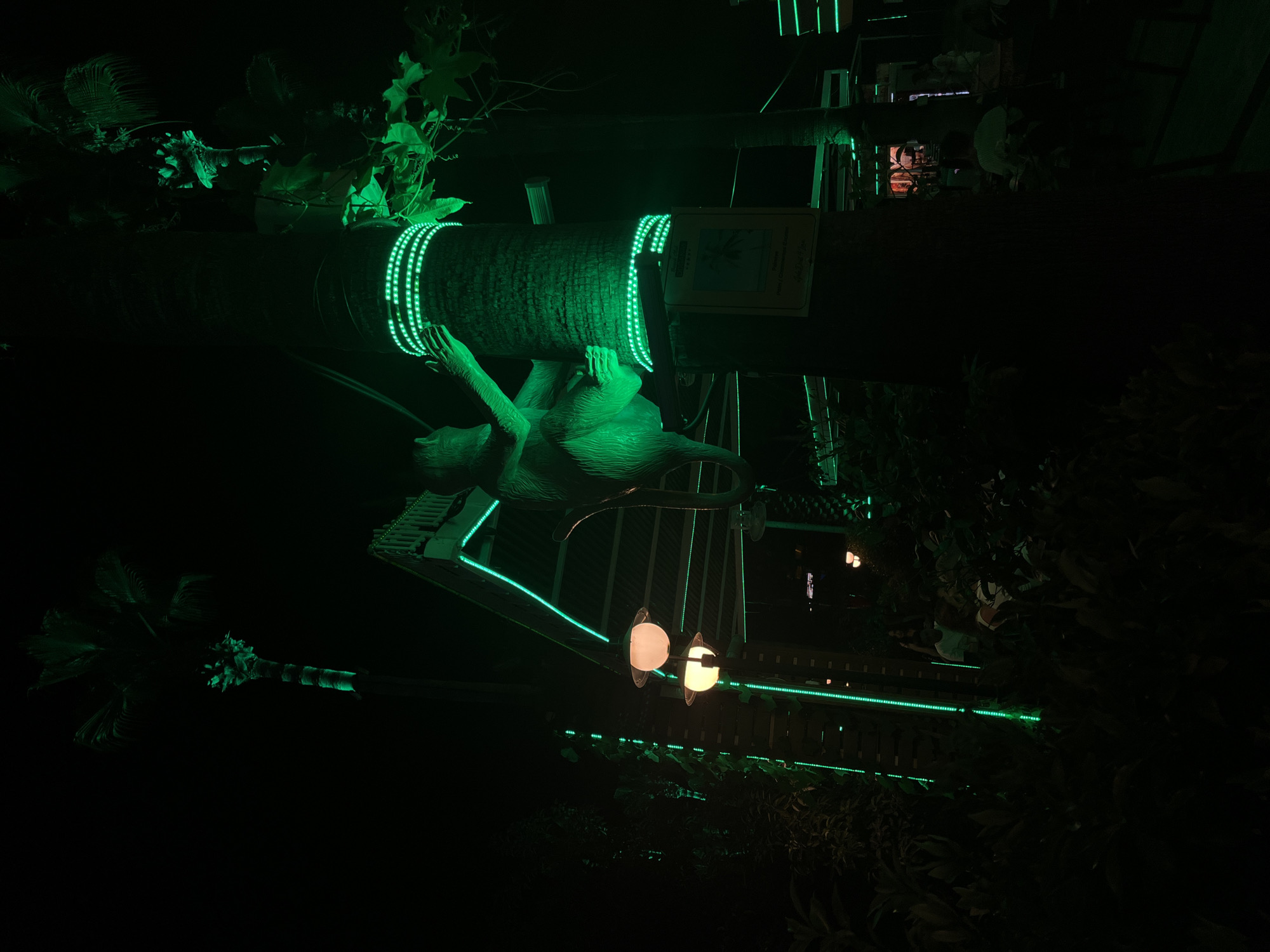 This is a nighttime photograph of an outdoor seating area in Alanya, Turkey, illuminated by predominantly green LED lighting. In the foreground, a statue of a primate is perched on a tree trunk wrapped with a string of green LED lights. The primate is reaching out with its left hand. To the left of the tree, there are some leafy plants and a vertical strip of green LED lights. Above and slightly to the right of the primate statue, part of a tropical tree with fronds is visible, also with some green lighting. Further back, there is a structure with a roof and what appears to be a railing, also adorned with green LED lights. Two orb-shaped lights, emitting a warm yellow glow, hang from the structure. In the background, obscured by darkness and foliage, are hints of other illuminated areas and people sitting at tables, suggesting a restaurant or bar environment. The overall atmosphere is dimly lit and vibrant due to the green lighting against the dark night.