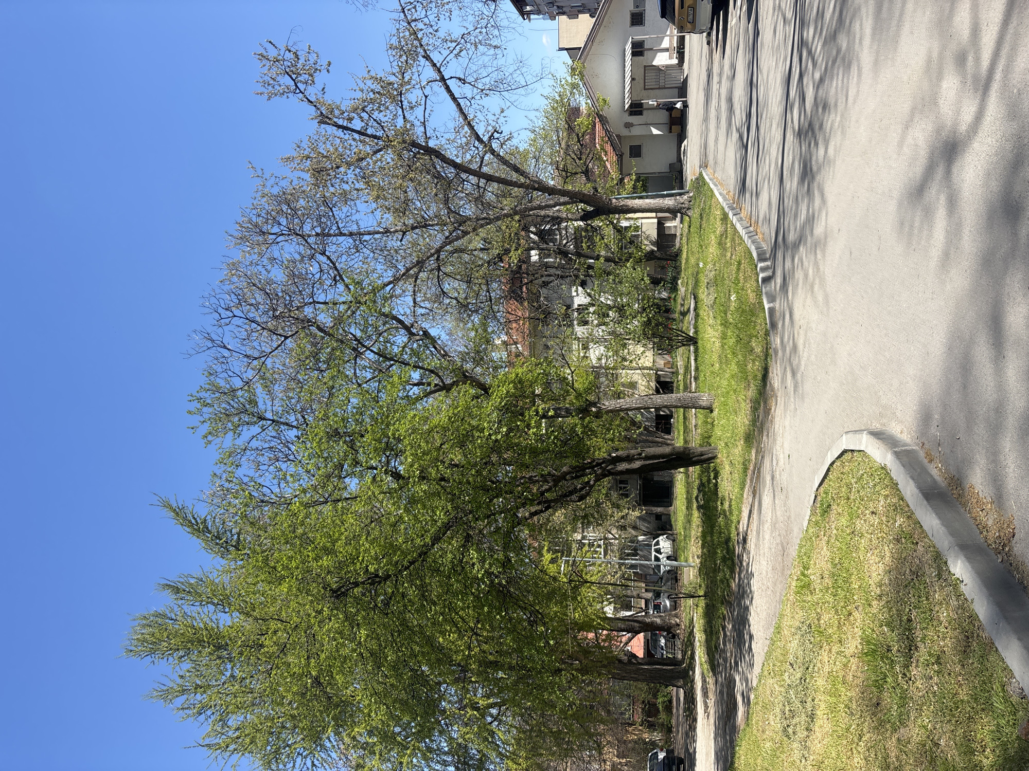 The image depicts a street scene in Plovdiv, Bulgaria. A paved road runs along the right side of the frame, with a grassy area bordering it. Trees line the left side of the road, some with full green foliage and others still with bare branches. Buildings are visible in the background, partially obscured by the trees. A vehicle is parked further up the road, near one of the buildings. The sky is clear and blue. The street is empty of people.