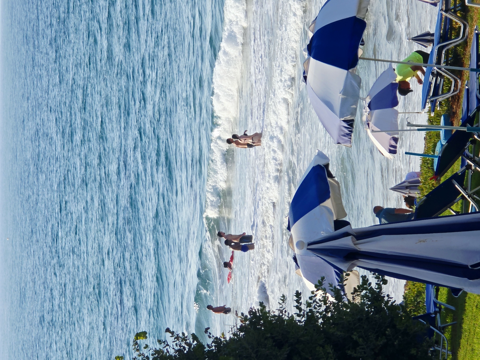 In the city of Malia Municipal Unit, Greece, a beach scene unfolds with the turquoise sea in the background. Several people are visible in the water, some wading, others swimming. A red float is present in the shallows. In the foreground, beach umbrellas, primarily blue and white, are set up on a grassy area alongside lounge chairs. One person, wearing a lime green shirt and a dark cap, is seen interacting with a lounge chair under an umbrella. A dense green tree is to the left of the frame, partially obscuring the view of the beachgoers and the sea. The water is wavy, with white foam indicating breaking waves.
