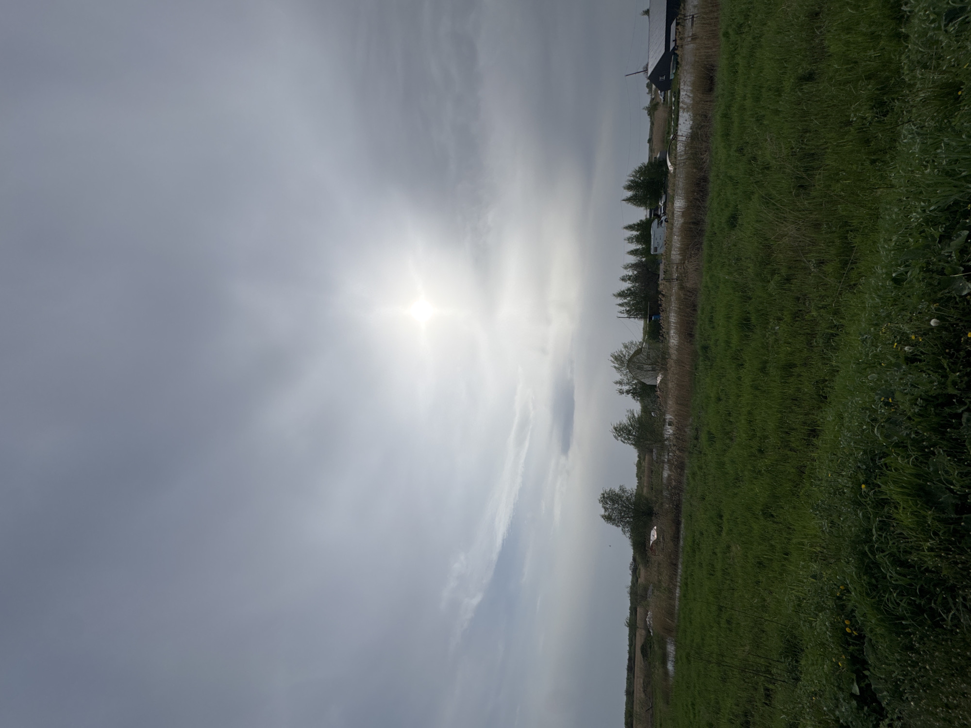 The image depicts a rural landscape in Unknown, Unknown, under an overcast sky. A bright sun is visible through the clouds, positioned high in the sky. The foreground is dominated by a field of green grass that extends toward the right edge. In the distance, sparse vegetation is visible. A building with a dark roof is located in the background.