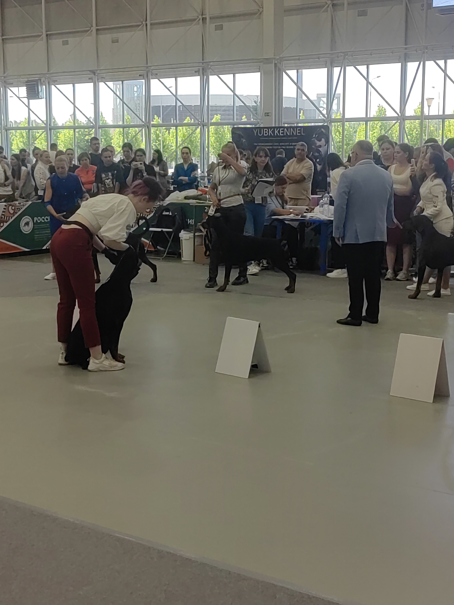 In the city of Zelenaya Roshcha, Russia, a dog show is underway indoors. The scene focuses on a Doberman Pinscher being presented by a woman in a white top and red pants. The dog is black and tan, with its head held high as it looks up at its handler. The woman is leaning down, gently guiding the dog. Behind them, a crowd of people watches, many of them standing near tables and booths that display event information and possibly products for sale. Another Doberman Pinscher is visible to the right, standing with a handler. In the background, large windows reveal trees and sky, suggesting the event is taking place during the day. The environment appears to be a large exhibition hall with high ceilings and a smooth, light-colored floor.