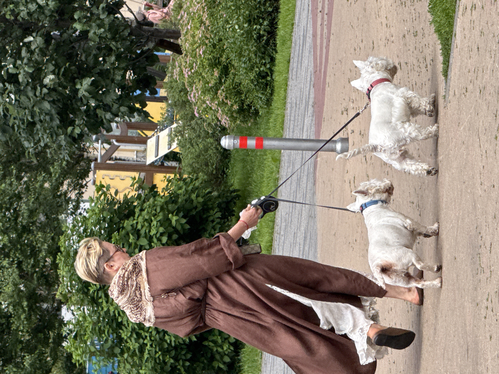 This image depicts a woman walking two white West Highland Terrier dogs on leashes in an outdoor, urban setting that appears to be Moscow, Russia. The woman is wearing a long, brown, rustic-style dress with white lace trim and a patterned scarf. She has blonde hair and is wearing glasses. One dog, in the foreground, is smaller and wears a blue collar, while the other, slightly further back, wears a red collar. Both dogs are white and fluffy, characteristic of the breed.
The scene is a paved walkway lined with green grass and lush trees and bushes, some with small pink flowers. Behind the foliage, there are hints of yellow buildings, suggesting an urban park or residential area. A silver pole with red and white reflective stripes stands prominently in the middle ground. The lighting suggests it is daytime, likely late morning or afternoon, with overcast or diffused sunlight. The overall mood is peaceful, with the woman calmly walking her dogs. No visible text is present in the image.