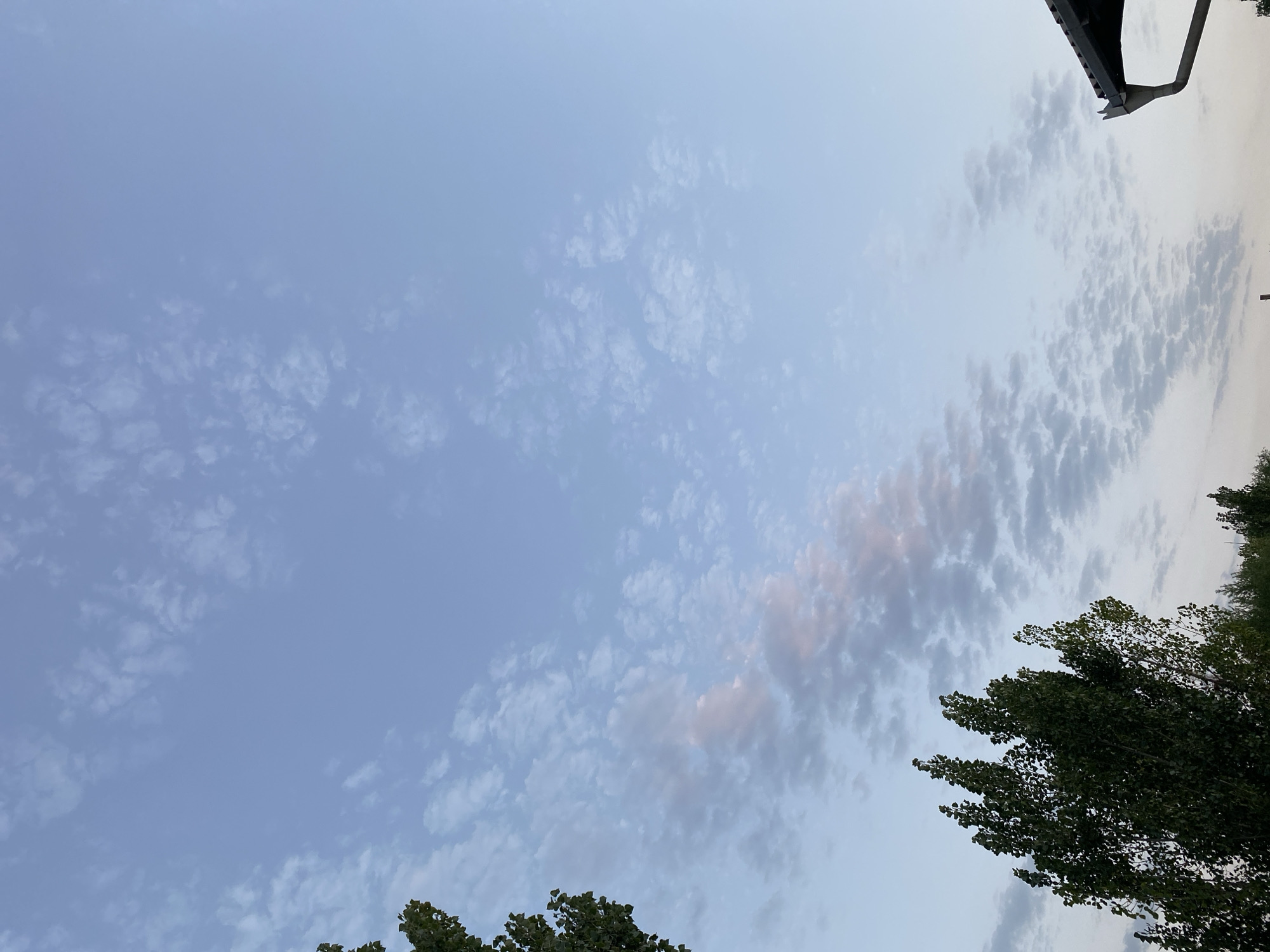 The image shows a wide shot of the sky in Gurlan, Uzbekistan, likely during the late afternoon or early evening. The sky is a pale blue, with scattered, wispy clouds that appear to be catching the soft light, giving them a pinkish hue in places. In the lower left corner, the dark green foliage of a tall tree is visible, its leaves silhouetted against the sky. To the lower right, a portion of a dark roof with a gutter is visible, suggesting the presence of a building. The scene is tranquil and natural, dominated by the expansive sky and the subtle play of light and clouds.