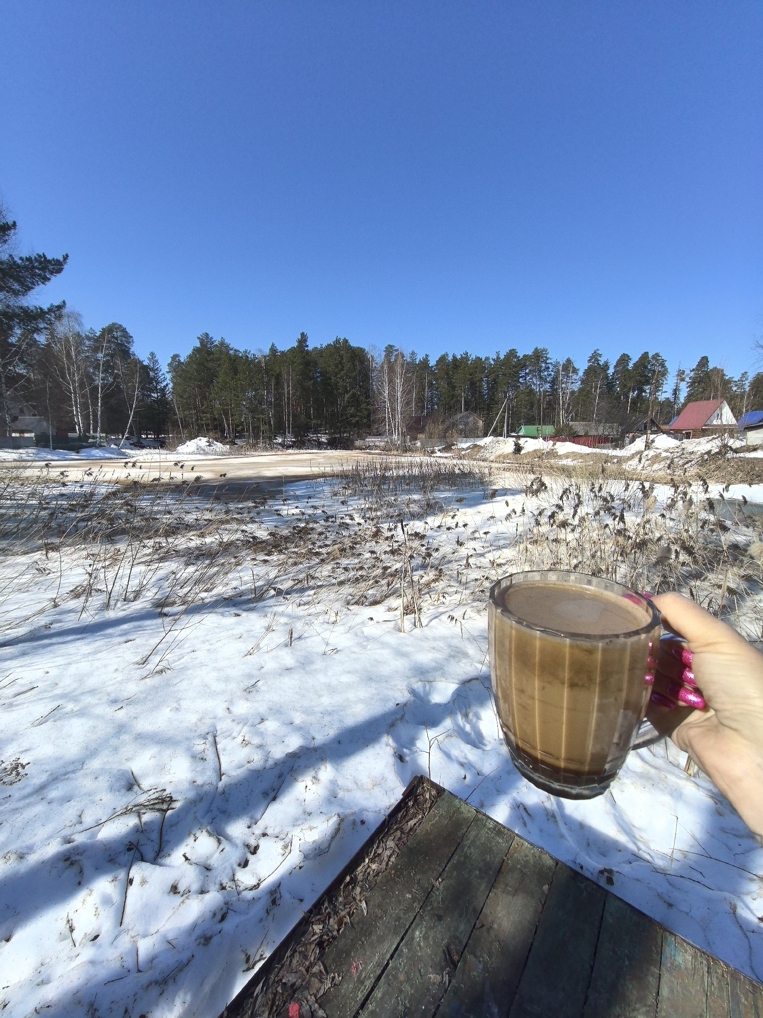 A woman is holding a clear glass mug filled with a brown beverage, presumably coffee, against a snowy, rural landscape under a clear blue sky. The foreground includes a dilapidated, wooden surface with snow covering it. Beyond this, the scene transitions into a snowy field with dry, brown reeds and a partially frozen body of water. In the background, a dense forest of evergreen trees borders the horizon, interspersed with bare deciduous trees. Several buildings, including houses with red and green roofs, are visible in the far background. The location is Noviy, Russia.