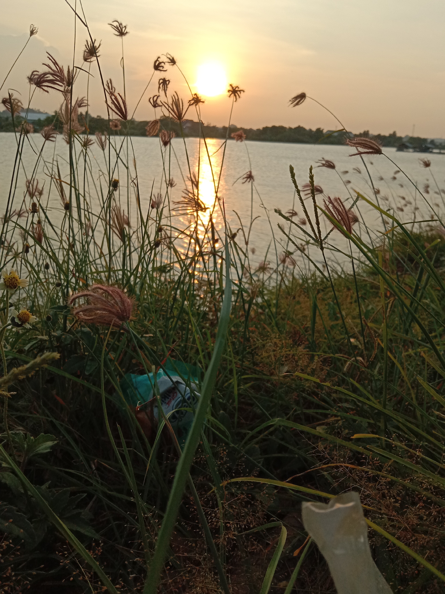 The image shows a sunset over a body of water, likely a river or a lake, viewed through tall grass and weeds. The sun is positioned in the upper center of the frame, with its reflection visible on the water's surface. In the foreground, amidst the vegetation, there is some discarded trash, including a plastic bag and a piece of plastic. The location is Lhokseumawe, Indonesia.