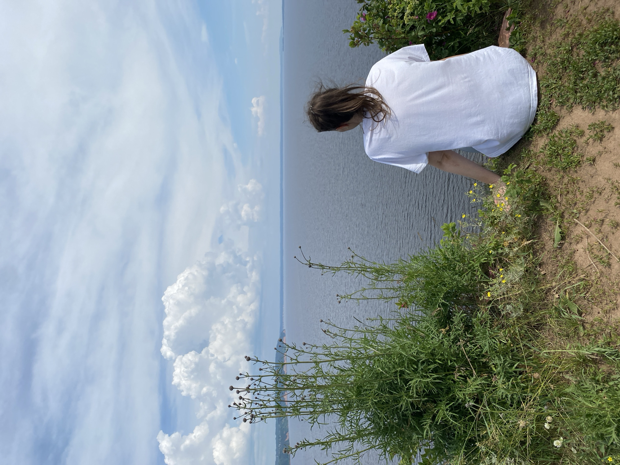 The image depicts a person with long, dark hair pulled into a ponytail, wearing a plain white t-shirt, sitting with their back to the camera on a grassy cliff overlooking a vast body of water. The individual is positioned on the right side of the frame, their knees bent and feet resting on the ground. In the foreground, to the left, is a dense cluster of tall green plants with small buds or seed heads. The water stretches out to the horizon, meeting a pale blue sky dotted with fluffy white clouds. The landscape appears natural and undeveloped, suggesting a location outside a major urban center. The water's surface is calm with subtle ripples. The lighting indicates it is daytime, likely midday, with the sun high in the sky. There are no other people or structures visible in the scene. The general impression is one of solitude and contemplation in a natural, scenic environment.