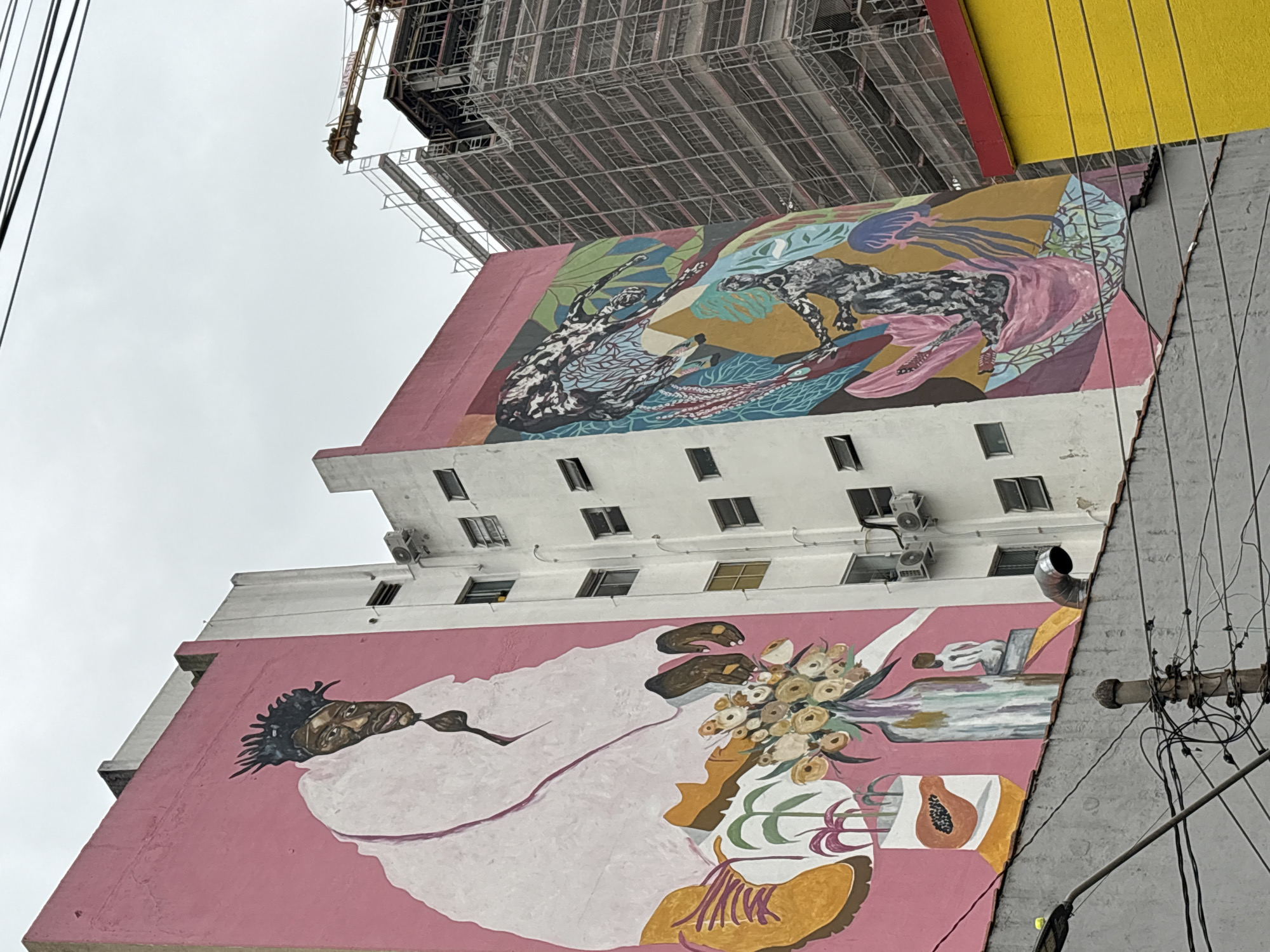 This image shows two large murals painted on the sides of buildings in the Vila Madalena neighborhood of São Paulo, Brazil.
The mural on the left, painted on a pink wall, depicts a close-up of a person's face with dark, spiky hair, wearing a large white garment that covers their neck and shoulders. The person has dark skin and a serious expression. Below the face, the mural extends to show a yellow boot with purple laces, a vase filled with yellow flowers, and a papaya in a white container. A small white statue of a person is also visible to the right of the vase.
The mural on the right, painted on a white wall adjacent to the pink one, features abstract and figurative elements in vibrant colors. It shows dark, intricate patterns intertwined with shapes of blue, green, pink, and yellow. Within this mural, two dark figures can be seen, one appearing to be a silhouette and the other more detailed with black and white markings.
In the background, a large building under construction is visible, covered in scaffolding and with a construction crane extending from the top. The sky is overcast and gray. In the foreground, power lines and a street lamp are visible, along with the top of a gray building and a section of a bright yellow building with a red border.