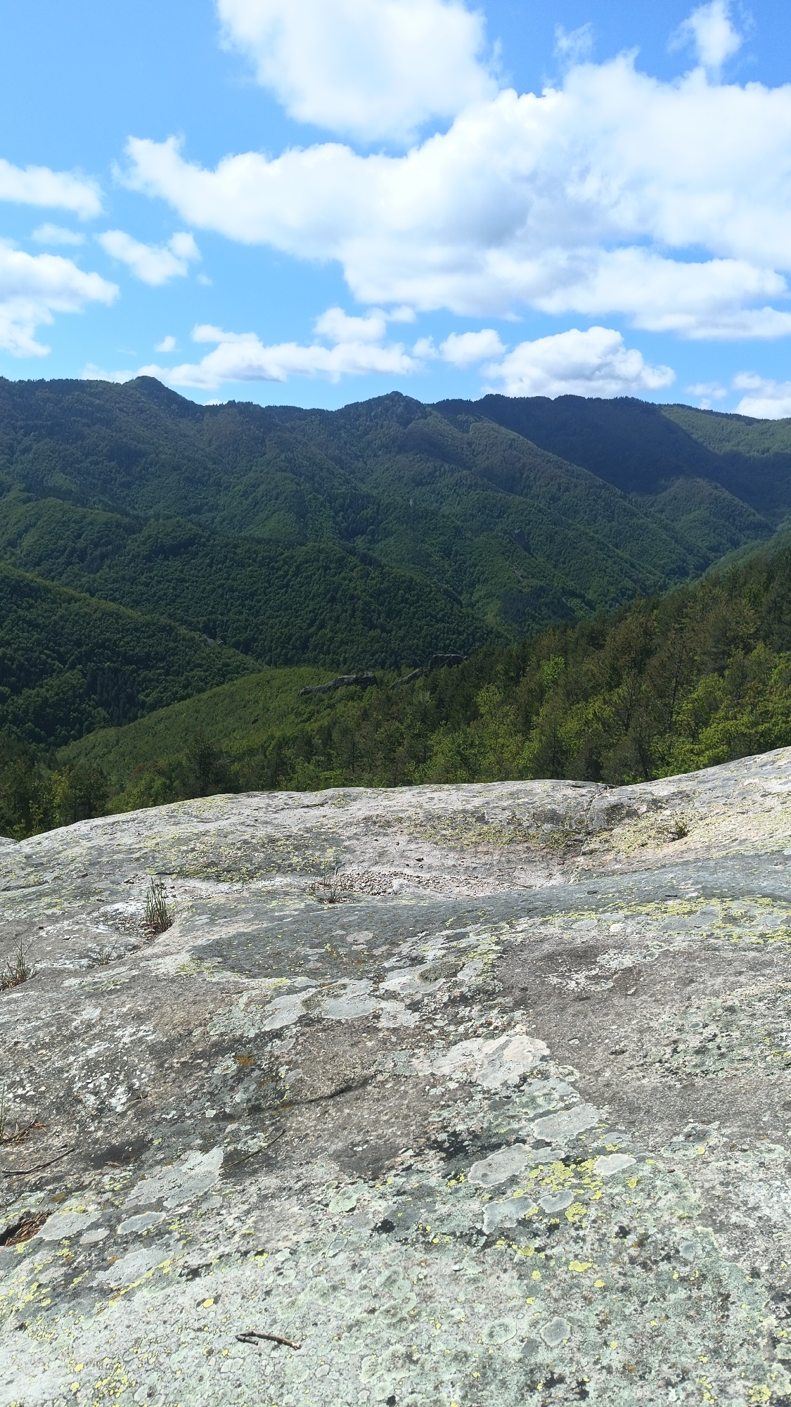 The image depicts a landscape scene from Sini Vrah, Bulgaria. The foreground features a large, lichen-covered rock surface with small sprouts of vegetation. Beyond the rock, there's a view of densely forested hills and mountains, receding into the distance. The sky above is a clear blue with scattered, puffy white clouds. No people or animals are visible in the scene. The lighting suggests a sunny day.