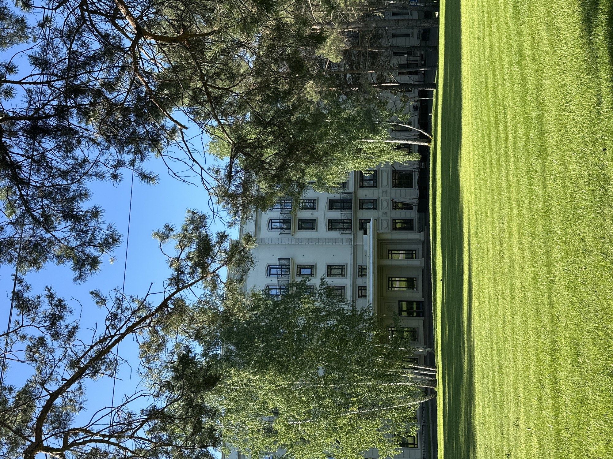The image depicts a modern, multi-story building with a light-colored facade, featuring numerous windows with dark frames and balconies with black railings. In front of the building, there is a well-maintained, bright green lawn that is neatly mowed, with visible stripes indicating recent cutting. Several trees are present; on the left side, there are tall, slender birch trees with white bark and lush green foliage. To the right of the birch trees and further back, there are conifer trees with darker green needles. The foreground is dominated by the expansive lawn, with some shadows cast by the trees. Overhead, tree branches with pine needles and a clear blue sky are visible, with thin power lines crossing the upper portion of the frame. There are no people visible in the scene. The setting appears to be a serene, possibly institutional or residential, area. Without additional context, it is not possible to definitively identify the specific location in Novosibirsk, Russia.