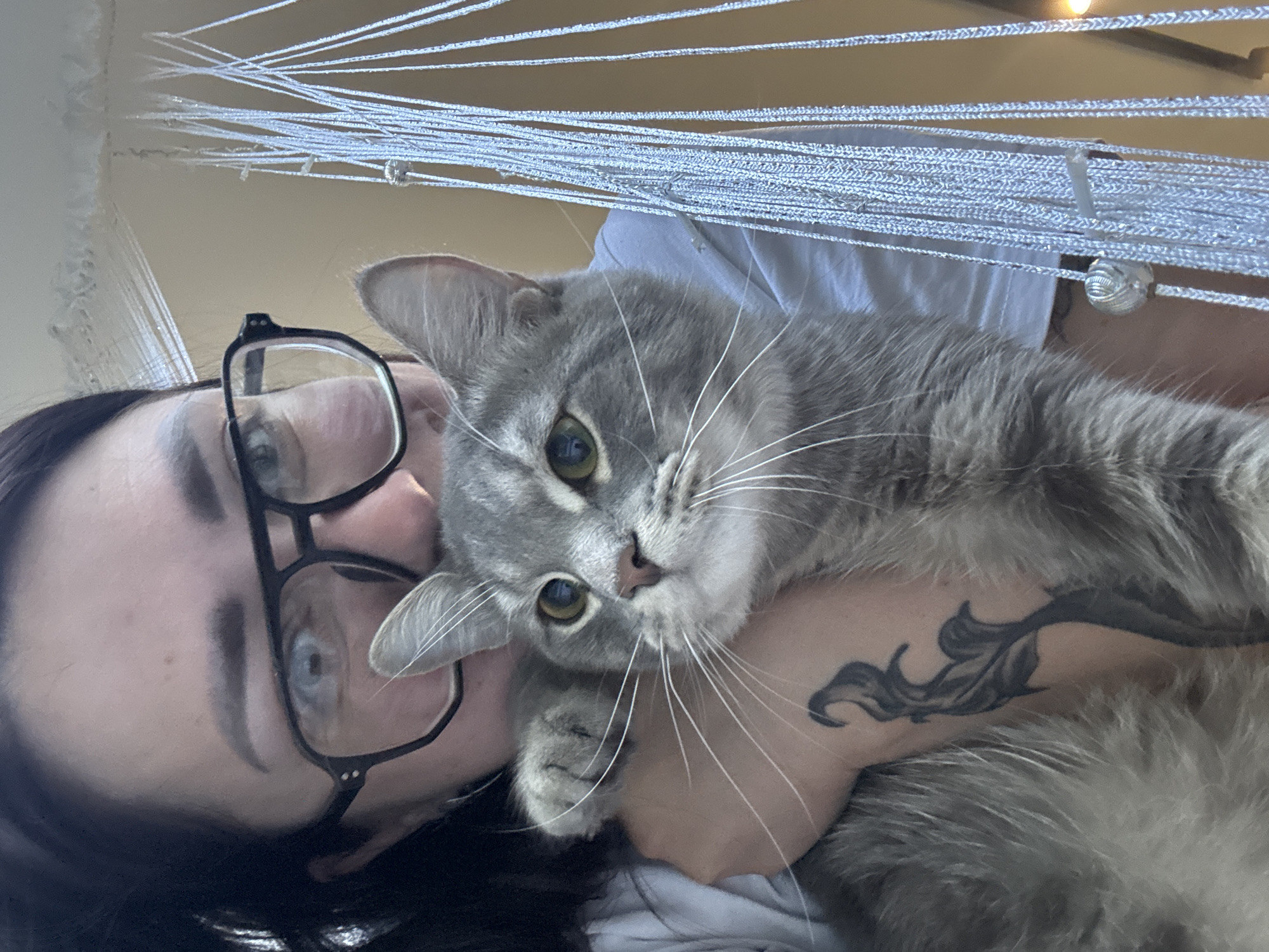A woman wearing glasses is holding a grey cat. The cat is resting its head on the woman's shoulder and has one paw visible. The woman has a tattoo on her arm. There are decorative strings or blinds hanging in the background. The location is unknown.