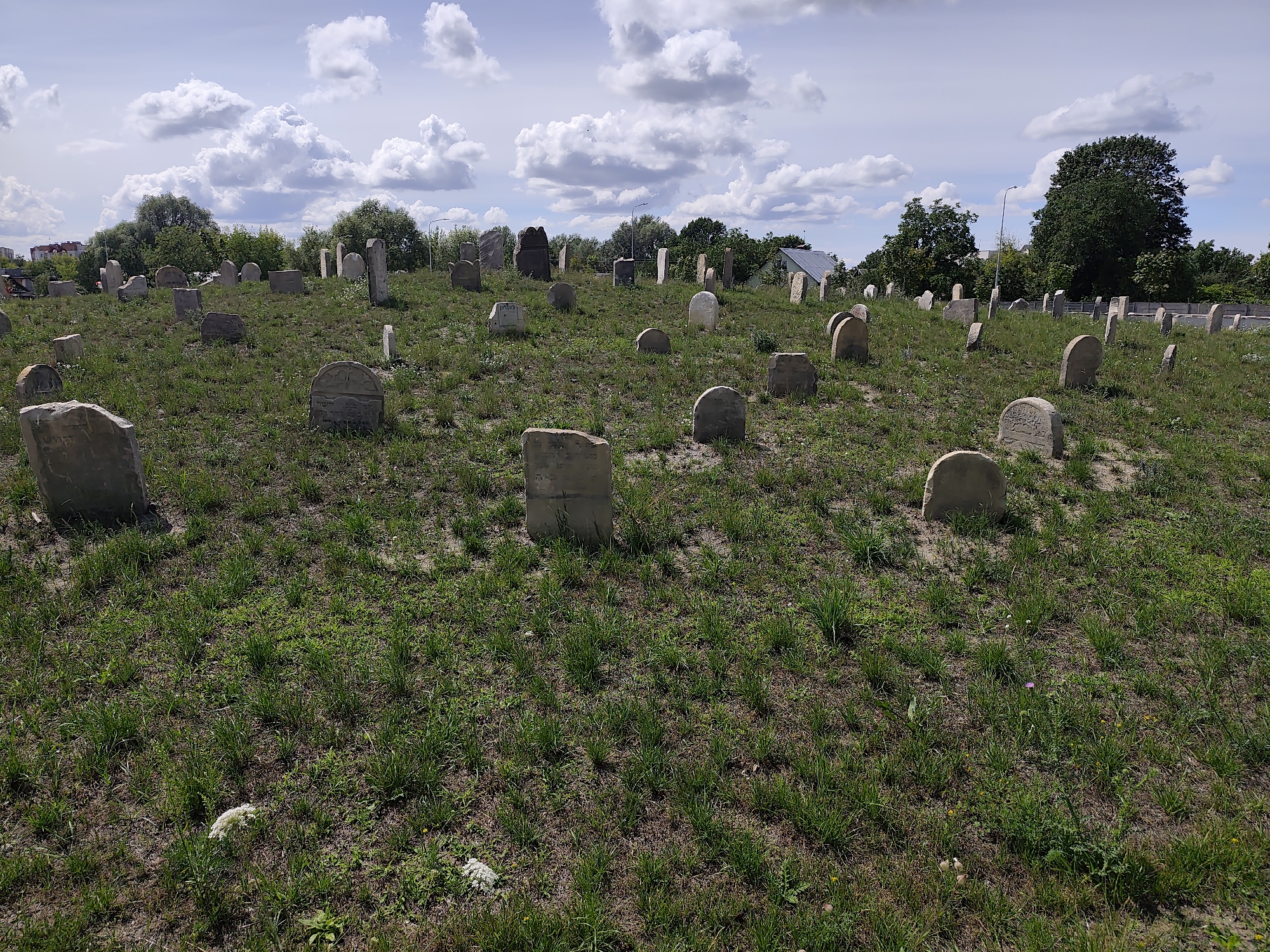 The image depicts an old Jewish cemetery in Brest, Belarus, under a cloudy sky. Numerous headstones, varying in size and shape, are scattered across a grassy, uneven terrain. Some headstones are simple and rectangular, while others are more elaborate, with rounded tops and visible inscriptions. The vegetation consists of a mix of grass and some wildflowers. In the background, trees line the perimeter of the cemetery, and a few buildings and streetlights are visible beyond the treeline, suggesting the proximity of a city. The overall scene is one of historical significance and quiet solemnity.