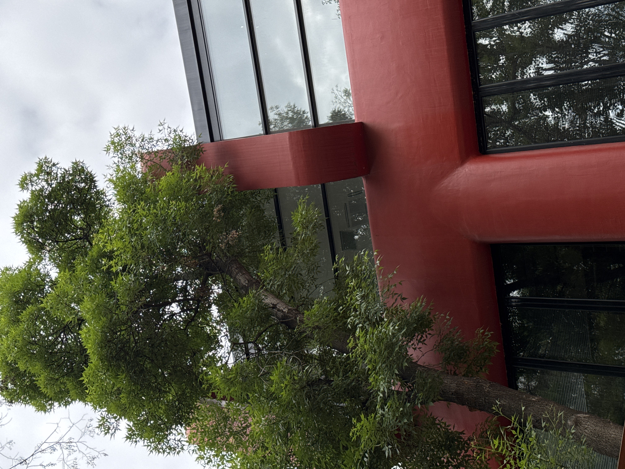 A low-angle shot depicts a portion of a modern building with a red structural element shaped like a plus sign, juxtaposed with a leafy tree. The building features tall, narrow windows reflecting the cloudy sky. The red structure appears to be a concrete pillar or support. A tree with green leaves obscures part of the building. The image is taken from a perspective looking upwards. The precise location in Yerevan, Armenia is not discernible from the image.