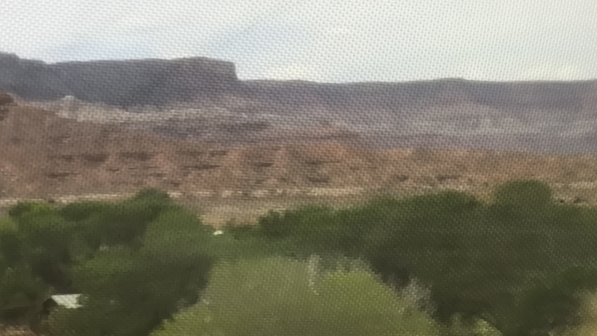 The image displays a broad landscape view with layers of terrain. In the foreground, a dense cluster of dark green foliage dominates the lower portion of the frame. A small, white structure, possibly a shed or a building, is partially visible within this foliage on the left side. Behind the foliage, a band of lighter green grass or low-lying vegetation can be observed. The middle ground features a rocky, arid landscape in shades of brown and tan, with visible striations and textures on the slopes. In the background, a large, dark mesa or mountain range rises, its top edge forming a flat, horizontal line against the pale, overcast sky. The overall scene suggests a natural, undeveloped environment, likely a rural or remote area. Without specific landmarks or identifying features, pinpointing the exact location within the city of Virgin, United States of America, is not possible based solely on the visual information provided.