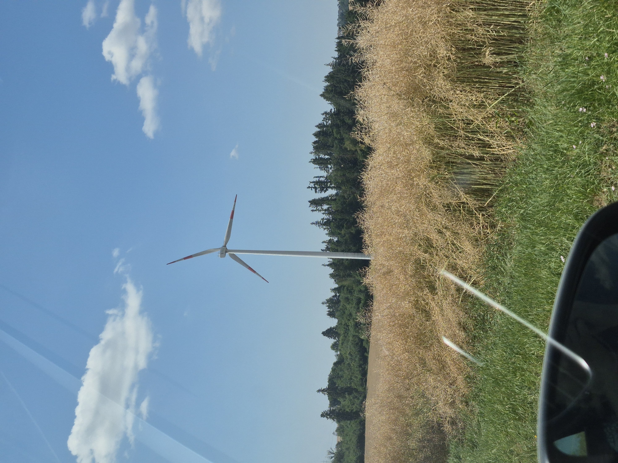 The image depicts a pastoral scene with a solitary wind turbine prominently positioned in the center. The sky is a clear, bright blue, dotted with a few wispy white clouds. The wind turbine, a modern white structure with three blades, stands tall against the sky. The landscape in the foreground features a field of tall, dry, yellow grass, likely a harvested crop such as rapeseed, giving a golden hue to the lower half of the image. Beyond the field, a dense line of dark green trees forms a natural backdrop. The photo appears to have been taken from inside a vehicle, as evidenced by reflections on a glass surface in the lower part of the frame, suggesting a roadside perspective. The scene is set in Zettingen, Germany, a location known for its rural environment and agricultural landscape.