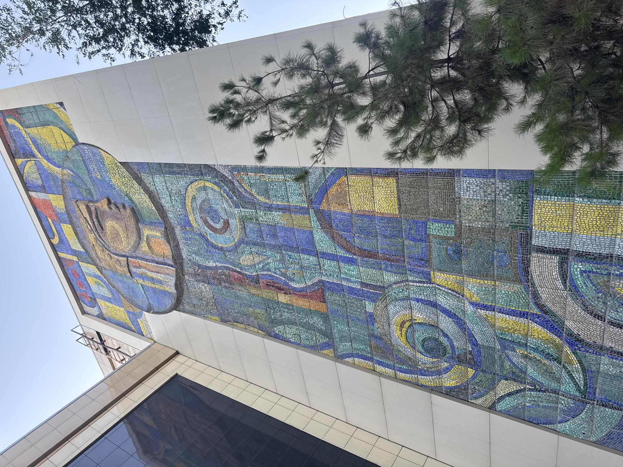 The image captures a section of a large, colorful mosaic mural adorning the side of a modern building. The mosaic features abstract swirling patterns in shades of blue, green, yellow, and some red, with hints of what might be a figurative element on the far left, possibly a stylized face or form. The building itself appears to be constructed with white and beige panels, and a large, dark-tiled window or facade is visible on the lower part of the image.
Pine tree branches with long, green needles are visible in the upper portion of the frame, suggesting the setting is outdoors. The sky above is a pale, clear blue, indicating it is daytime. The angle of the shot, looking upwards at the building and mosaic, emphasizes the scale and grandeur of the artwork. No text is visible in the image. The overall impression is one of art integrated into urban architecture, with a natural element (the trees) adding a contrasting texture.