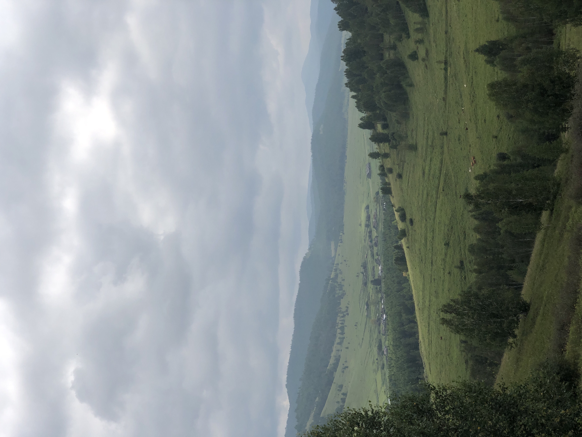 The image depicts a panoramic view of a rural landscape with rolling hills and a cloudy sky. In the foreground, a dense forest of deciduous trees covers a hillside. As the eye moves into the mid-ground, the terrain opens into a valley with lush green meadows dotted with trees. A small village with scattered houses is visible nestled within the valley. In the distance, layers of hazy mountains recede towards the horizon, fading into the overcast sky. There are several cows grazing in the fields in the mid-ground. The overall impression is one of natural beauty and tranquility.
