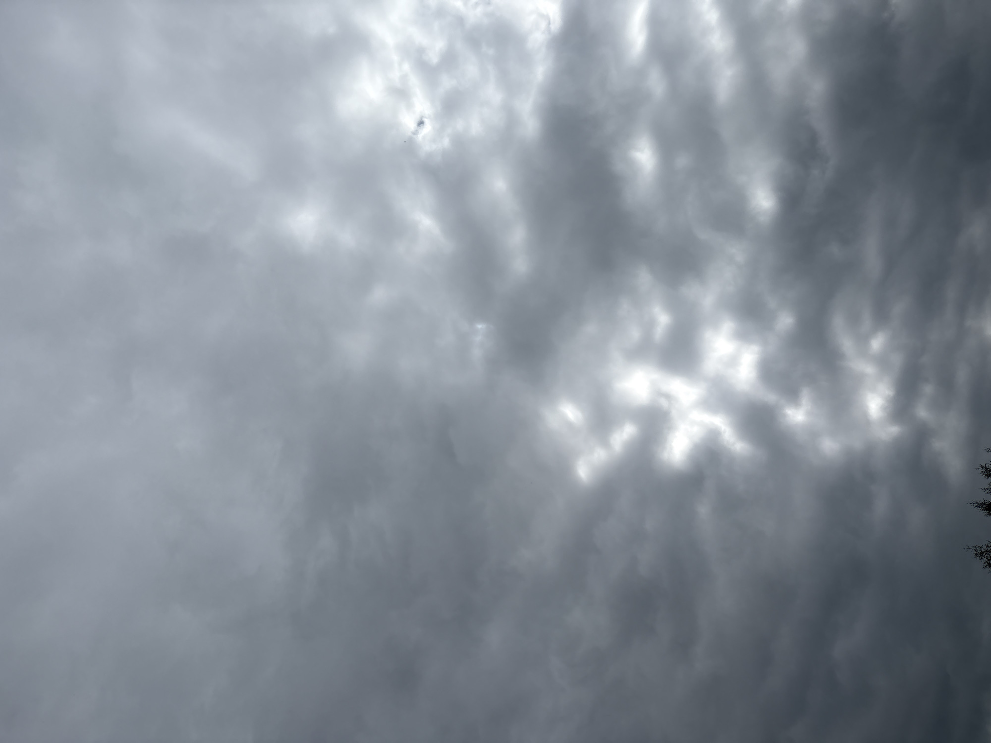 This media file is a photograph taken from below, looking up at a cloudy sky. The clouds are dense and appear to be a mixture of dark grey and white, suggesting an overcast or stormy weather condition. Sunlight is breaking through some of the cloud cover, creating brighter patches and streaks of light that illuminate the textured cloud formations. The overall mood is somewhat dramatic due to the heavy clouds and the interplay of light and shadow.
There are no visible people or distinct objects in the sky, other than the clouds themselves. A very small, dark speck, possibly a bird or an airplane, is visible in the upper left portion of the image. The top right corner of the image shows the dark silhouette of tree branches, indicating that the photograph was taken from ground level.
The time of day is difficult to determine precisely, but the light suggests it could be during daylight hours, with the sun partially obscured. The weather appears to be changing or unsettled, leaning towards rain or a storm. The location context provided is Сульмаш, Russia, which adds to the understanding of the environmental setting. There is no visible text within the image.