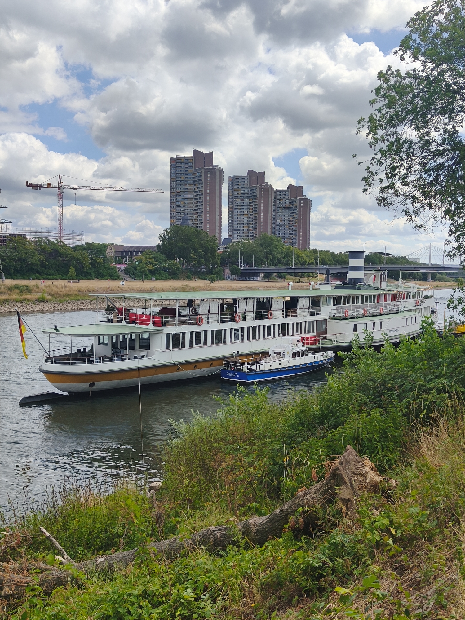 The image depicts a scenic view of the Neckar river in Mannheim, Germany. On the river, a large white passenger ship with a green roof is docked, alongside a smaller blue and white boat. The ship is labeled "MANNHEIM". In the background, several tall, modern apartment buildings rise above the treeline, characteristic of the urban landscape of Mannheim. A construction crane is visible to the left, suggesting ongoing development in the area. The riverbanks are lined with lush green vegetation, including trees and bushes, with a fallen log in the foreground. The sky is partly cloudy, with patches of blue peeking through the white clouds. The overall scene captures a blend of urban life, natural elements, and river activity within Mannheim.