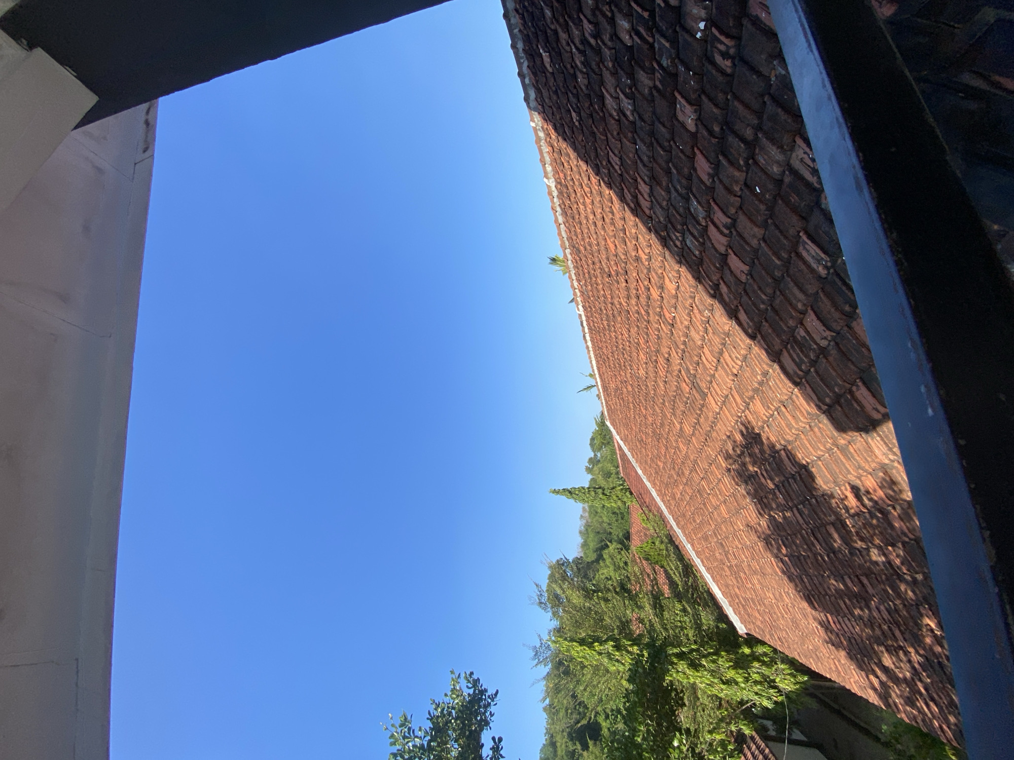 An outdoor, eye-level shot captures a view of a red-tiled roof under a clear, bright blue sky. The roof, which occupies the majority of the frame, is partially cast in shadow by foliage from an unseen source, creating a dappled pattern of light and dark across its surface. To the left, lush green trees and a small cluster of buildings are visible, suggesting a residential or rural setting. A dark railing or barrier is present in the foreground, indicating the vantage point from which the photo was taken. The overall impression is one of a peaceful, sunny day in Gunungsari, Indonesia.