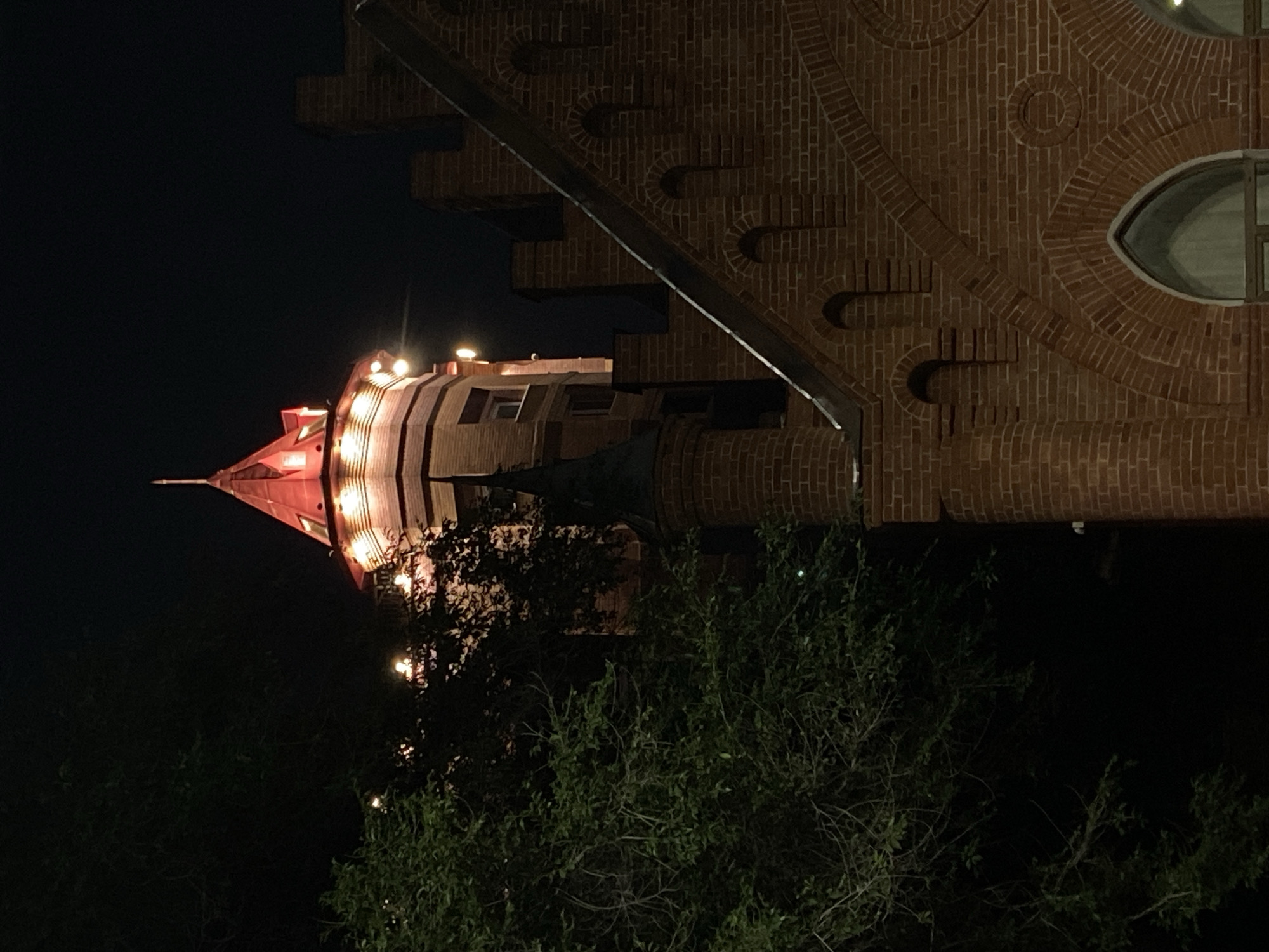 The image depicts the historic building of Blagoveshchensk State Pedagogical University at night, in Blagoveshchensk, Russia. The central focus is a brick tower with a distinctive red, conical roof, illuminated by warm lights. Decorative string lights are also visible, adding to the festive ambiance. In the foreground, a portion of another brick building with gothic architectural elements, including arched windows and crenellations, is visible. Lush green foliage from a tree partially obscures the left side of the tower. The night sky serves as the dark backdrop to the illuminated structures. There are no people or animals visible in the scene.
