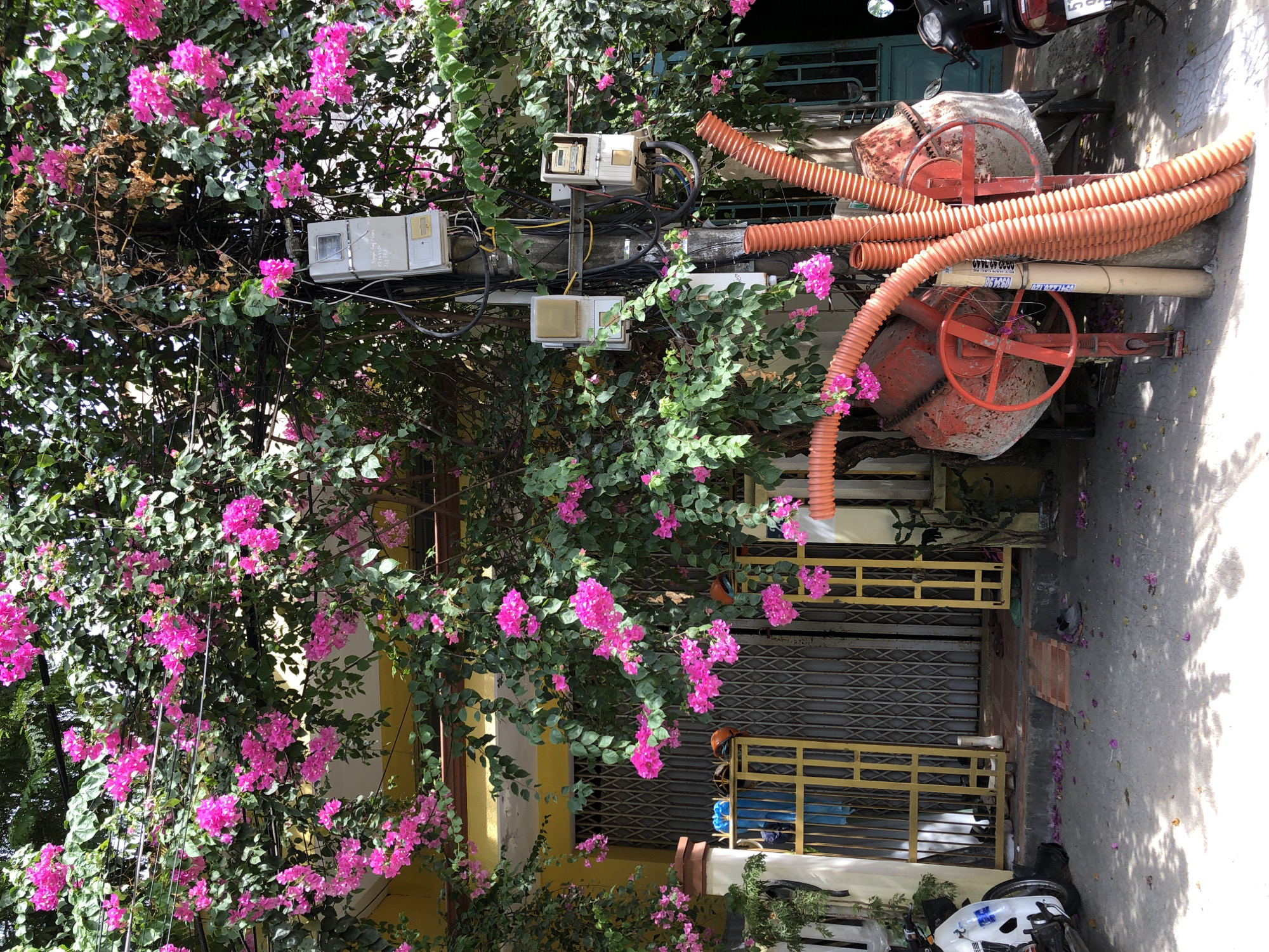 This image depicts a street scene in Đà Nẵng, Vietnam, characterized by vibrant pink bougainvillea flowers cascading over a sidewalk and a yellow building. In the foreground, a red concrete mixer with orange corrugated pipes is positioned on the pavement. To the left, a white motorcycle is parked next to a yellow gate. A utility pole with multiple electrical meters and an array of wires is visible, partially obscured by the foliage. The building behind the gate appears to be a residential or commercial establishment, with a yellow facade and metal roll-up doors. The ground is paved and shows scattered pink petals from the bougainvillea. The overall impression is one of a sunny day in a bustling urban environment.