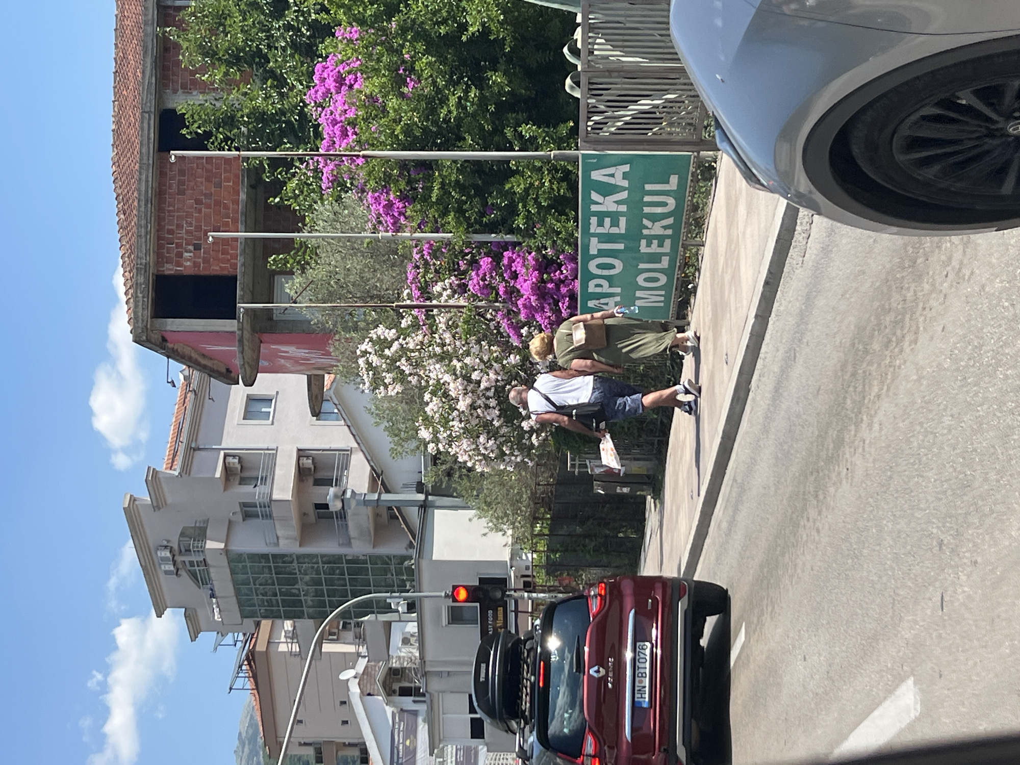 In Budva, Montenegro, on a clear, sunny day, a red Renault Scenic SUV with a black roof box and license plate HN BT076 is stopped at a traffic light. Two individuals, a man and a woman, are walking on the sidewalk to the right of the car. The man, wearing a white tank top and blue shorts, carries a folded newspaper. The woman, in a long olive-green dress and a small backpack, holds a bottle of water. Behind them, a green sign reads "APOTEKA MOLEKUL." The scene is bordered by lush greenery, including blooming pink and white flowers, and buildings in various stages of construction and completion, typical of a coastal city. A silver car is partially visible in the foreground, on the adjacent lane.