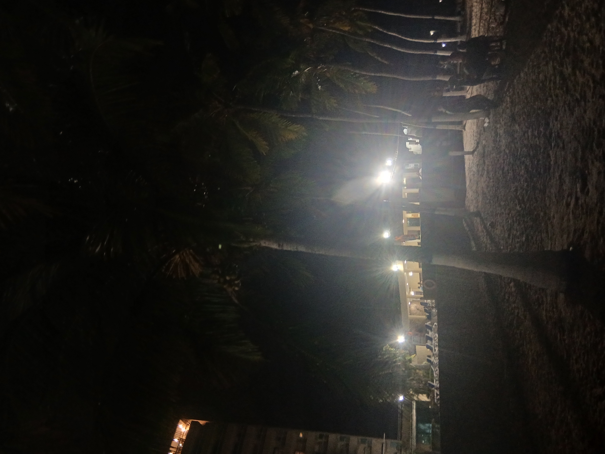 The image shows a beach at night, possibly in Pampatar, Venezuela. Palm trees line the sandy shore. Lights illuminate a building or structure, likely a beachfront establishment. People are present, some standing near the illuminated area and others further down the beach. The overall environment is dark, with the lights providing the primary source of illumination. A building is visible in the lower background.