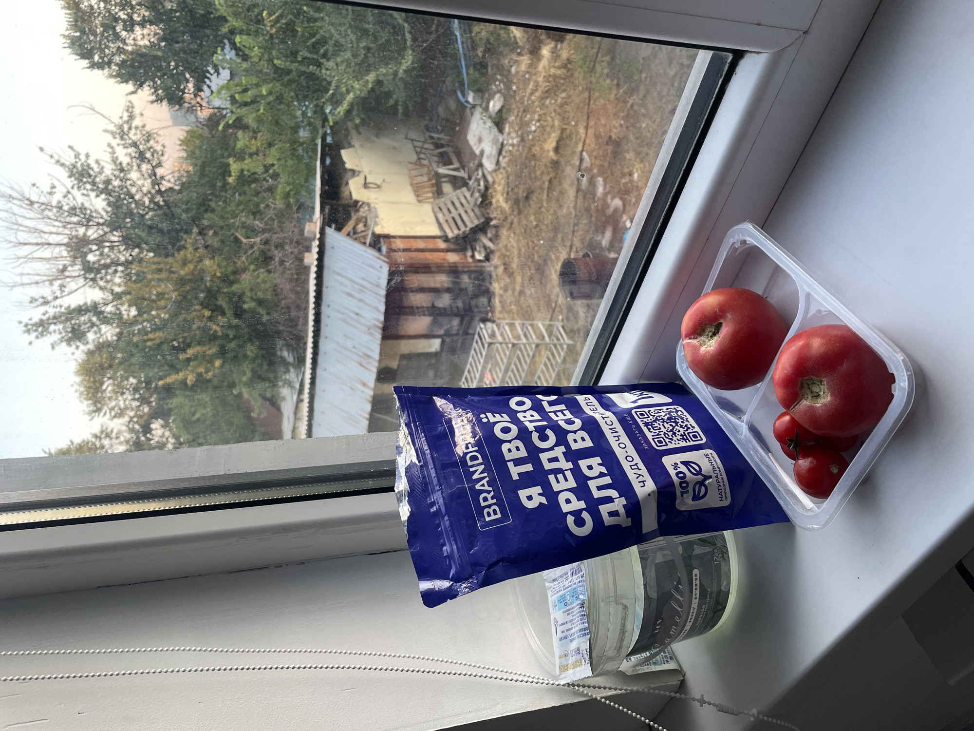 The image captures a close-up view of a windowsill, showcasing several items. A blue package with Russian text, "Я ТВОЁ СРЕДСТВО ДЛЯ ВСЕГО," which translates to "I AM YOUR MEANS FOR EVERYTHING," and other branding details, stands prominently. To its left, a clear plastic container holds a small amount of liquid with labels. In front of the blue package, a clear plastic clamshell container holds three red tomatoes: two smaller cherry tomatoes and one larger tomato with a slight indentation on its surface. The windowsill itself is white.
Beyond the windowsill, the scene transitions to an outdoor environment viewed through a window. The view includes a densely vegetated area with trees and foliage, some appearing to be deciduous and others evergreen. In the mid-ground, there is a dilapidated structure with a corrugated metal roof, suggesting an outbuilding or shed, and surrounding debris including wooden pallets and scattered materials. The overall impression of the outdoor area is one of disuse or a semi-rural setting.
The lighting suggests it is either early morning or late afternoon, with a soft, diffused light. The details of the outdoor scene hint at a location that might be in the outskirts of a city or a more rural part of Almaty, Kazakhstan, characterized by typical Central Asian vegetation and potentially less maintained structures. However, without more specific landmarks or architectural cues, pinpointing the exact location within Almaty is not possible from the image alone.